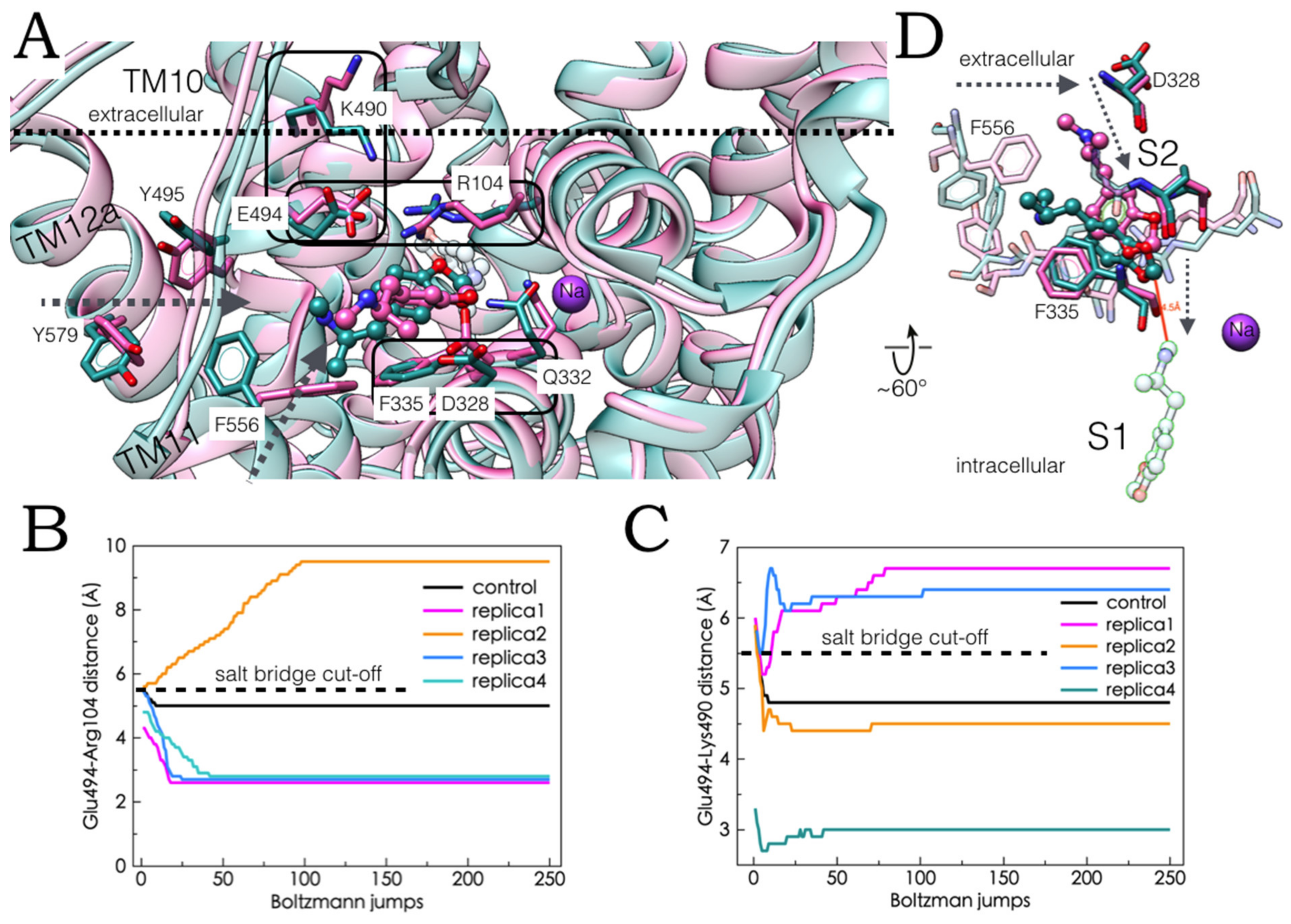 Molecules 27 02977 g007 550