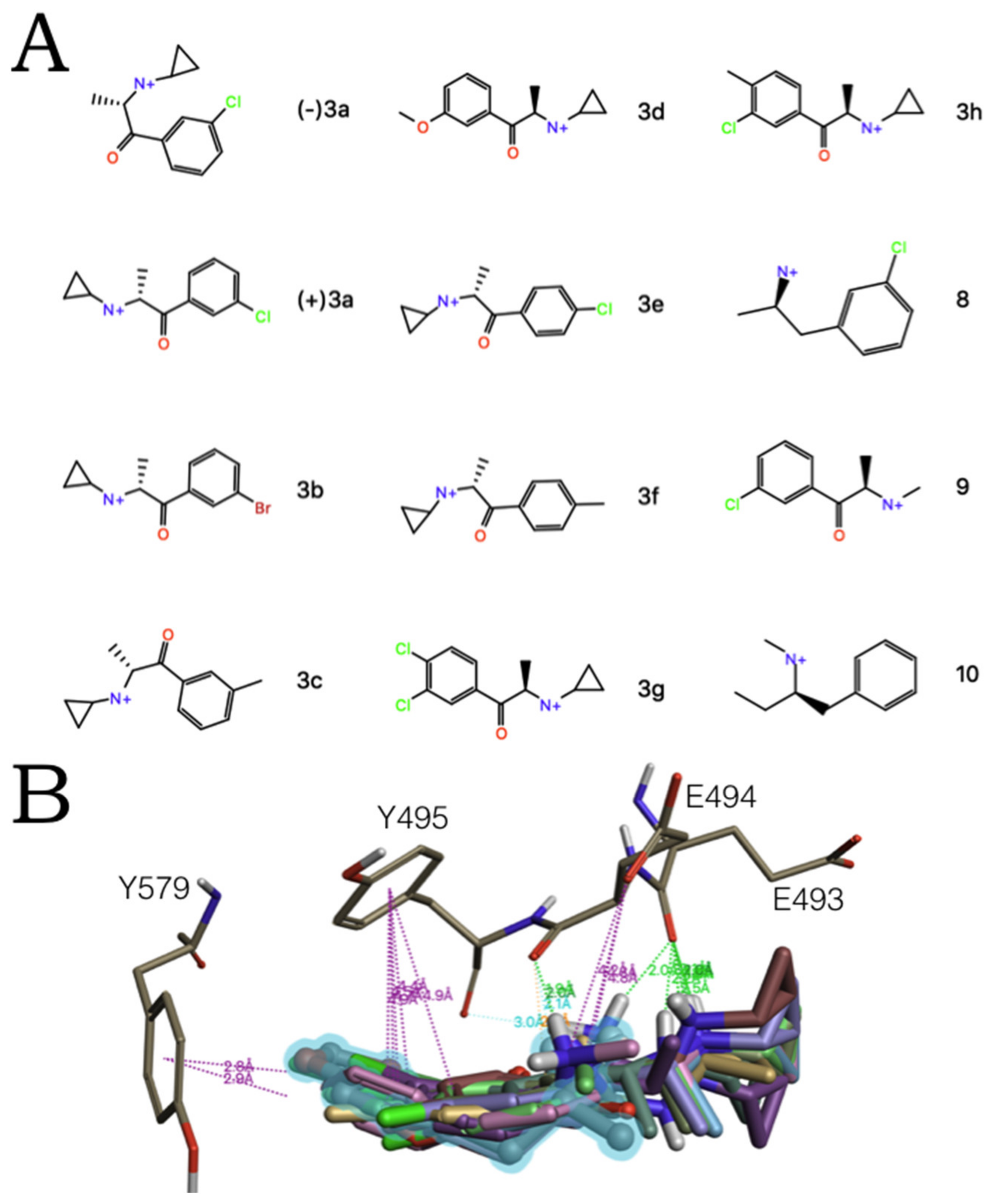 Molecules 27 02977 g009 550