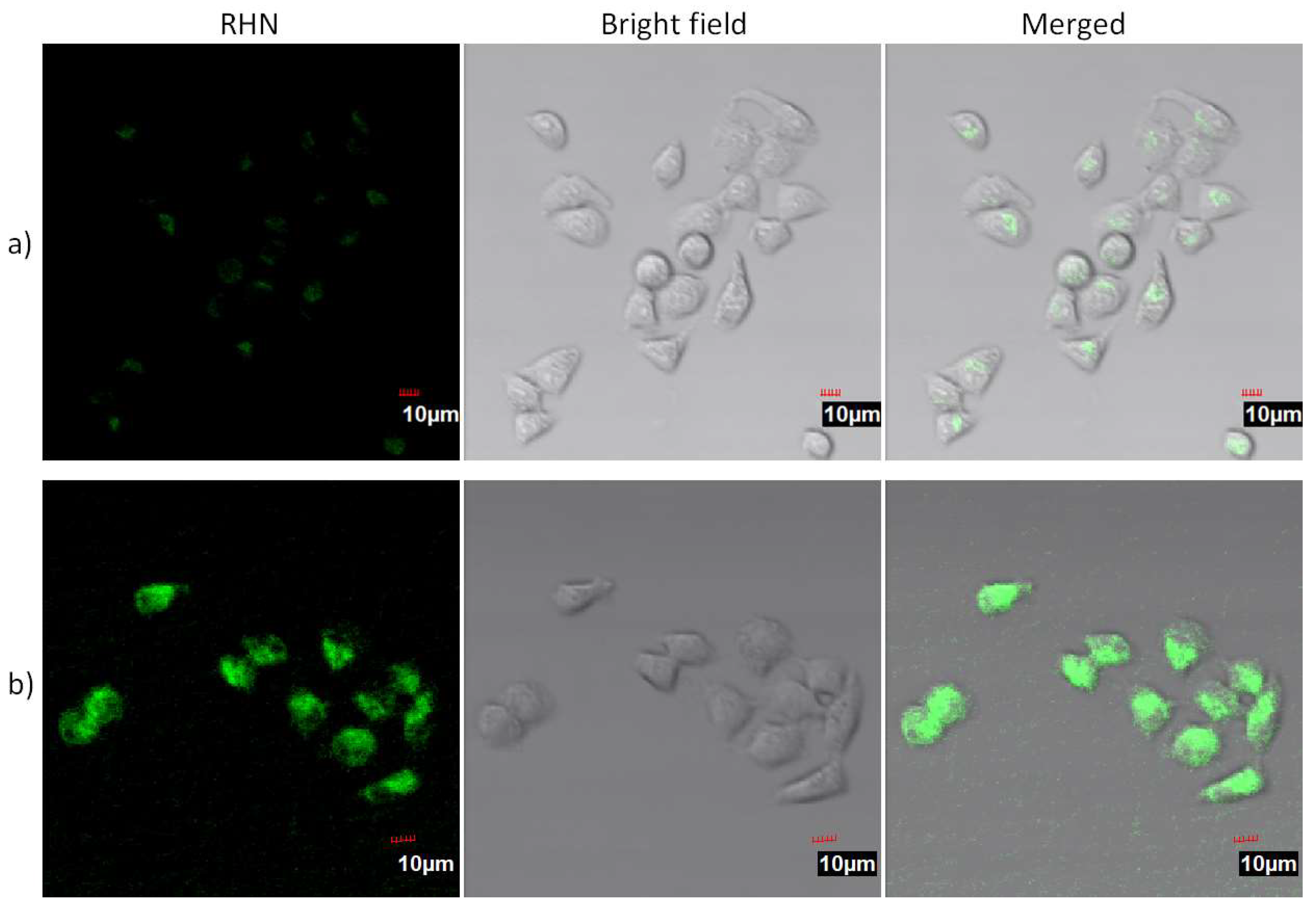 Molecules 27 02978 g005 550