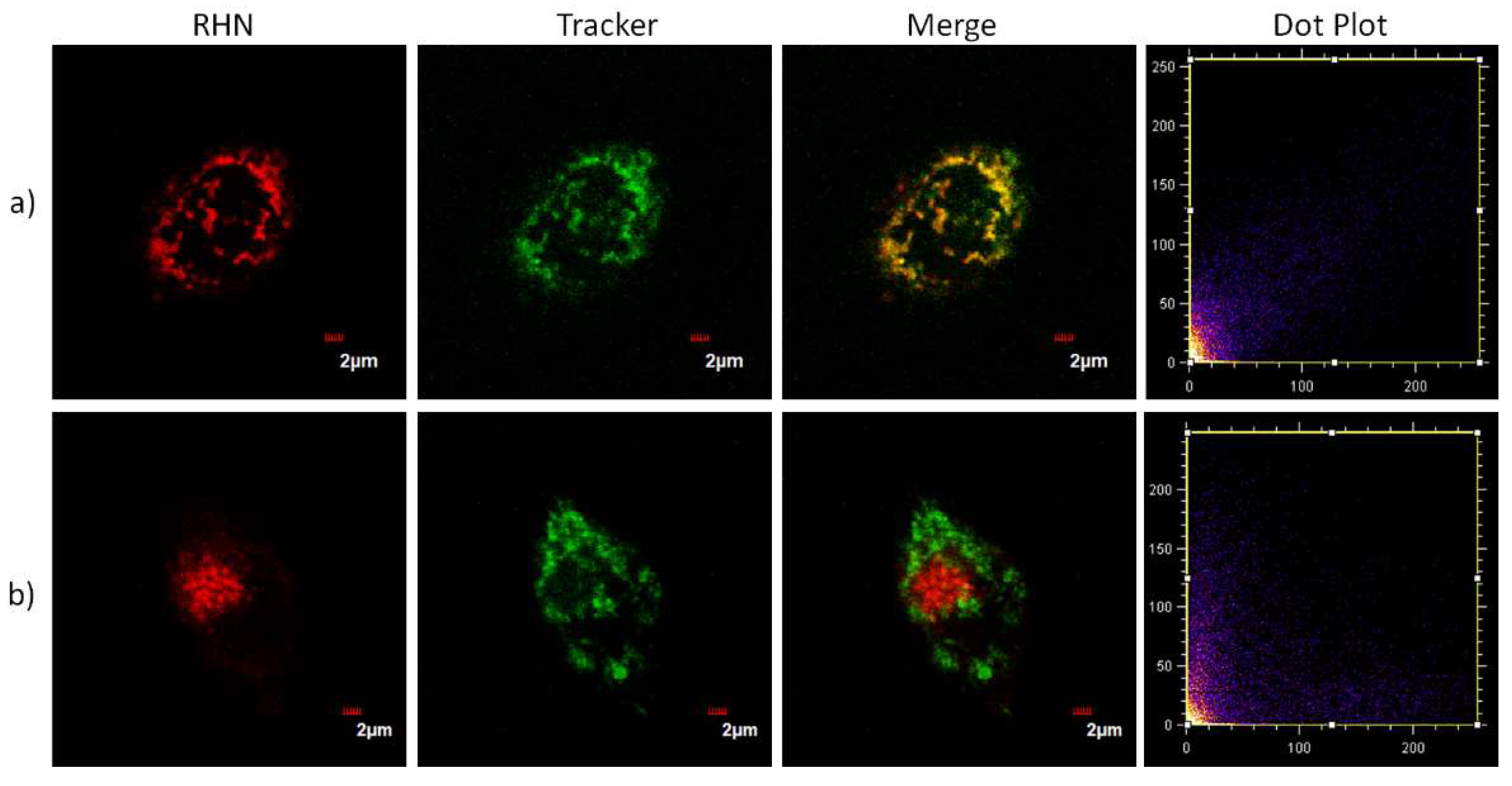 Molecules 27 02978 g006 550
