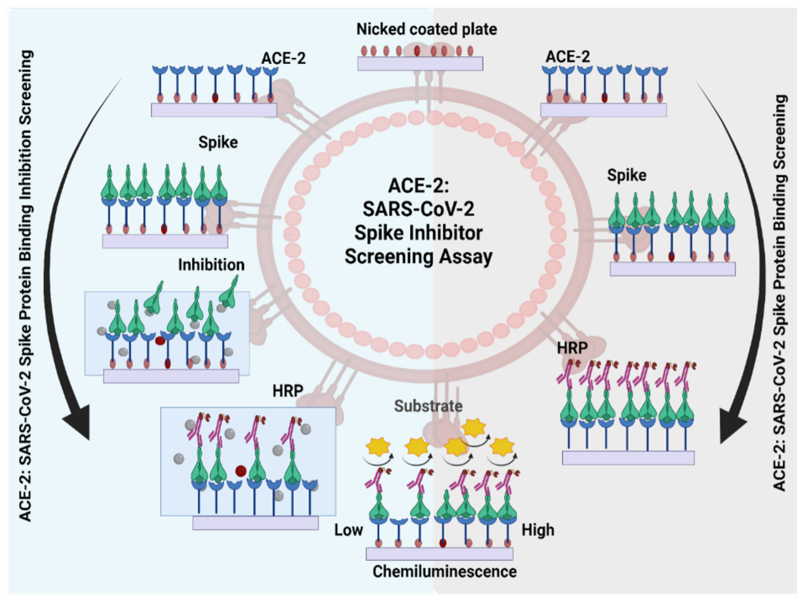 Molecules 27 02980 g0a1