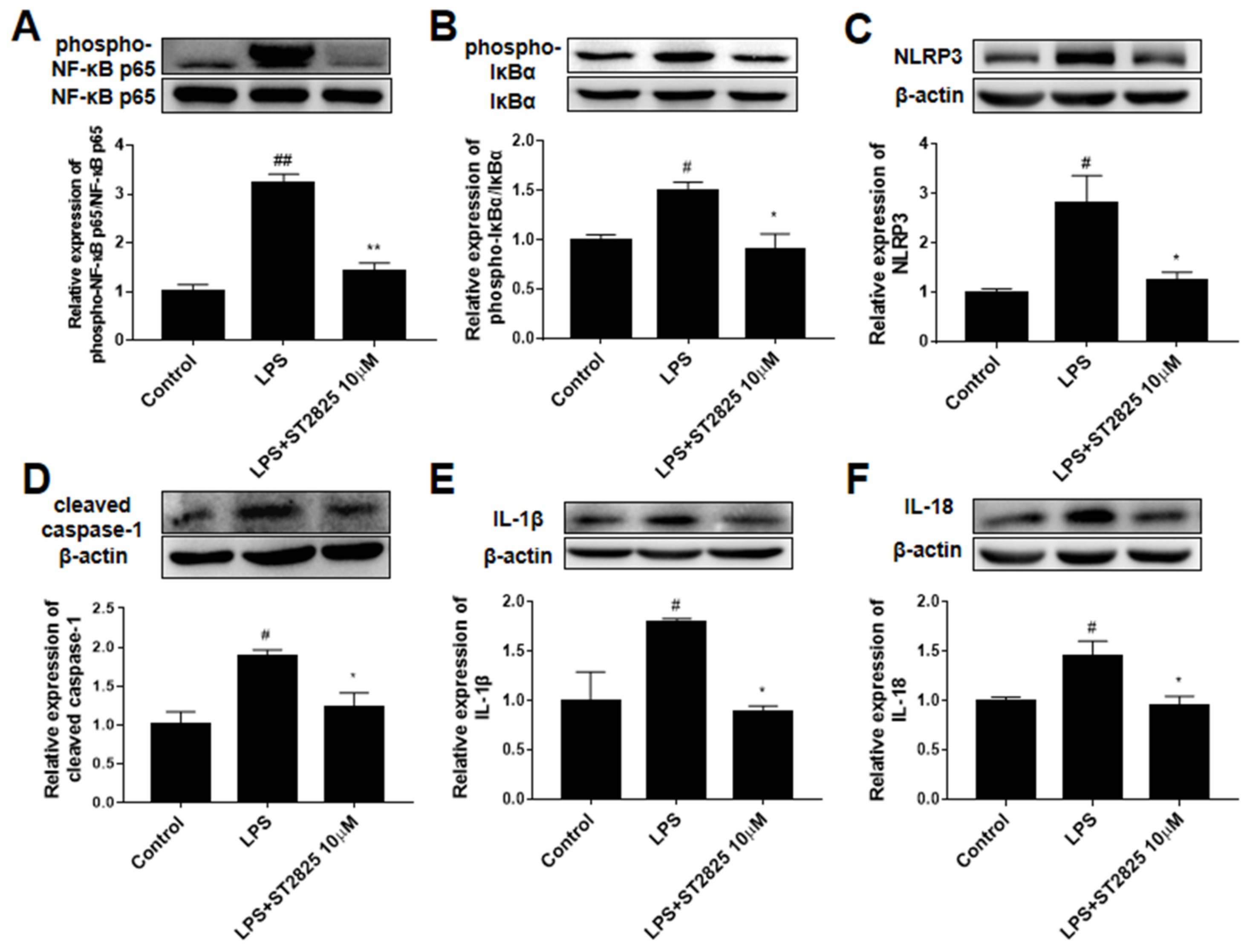 Molecules 27 02990 g005 550