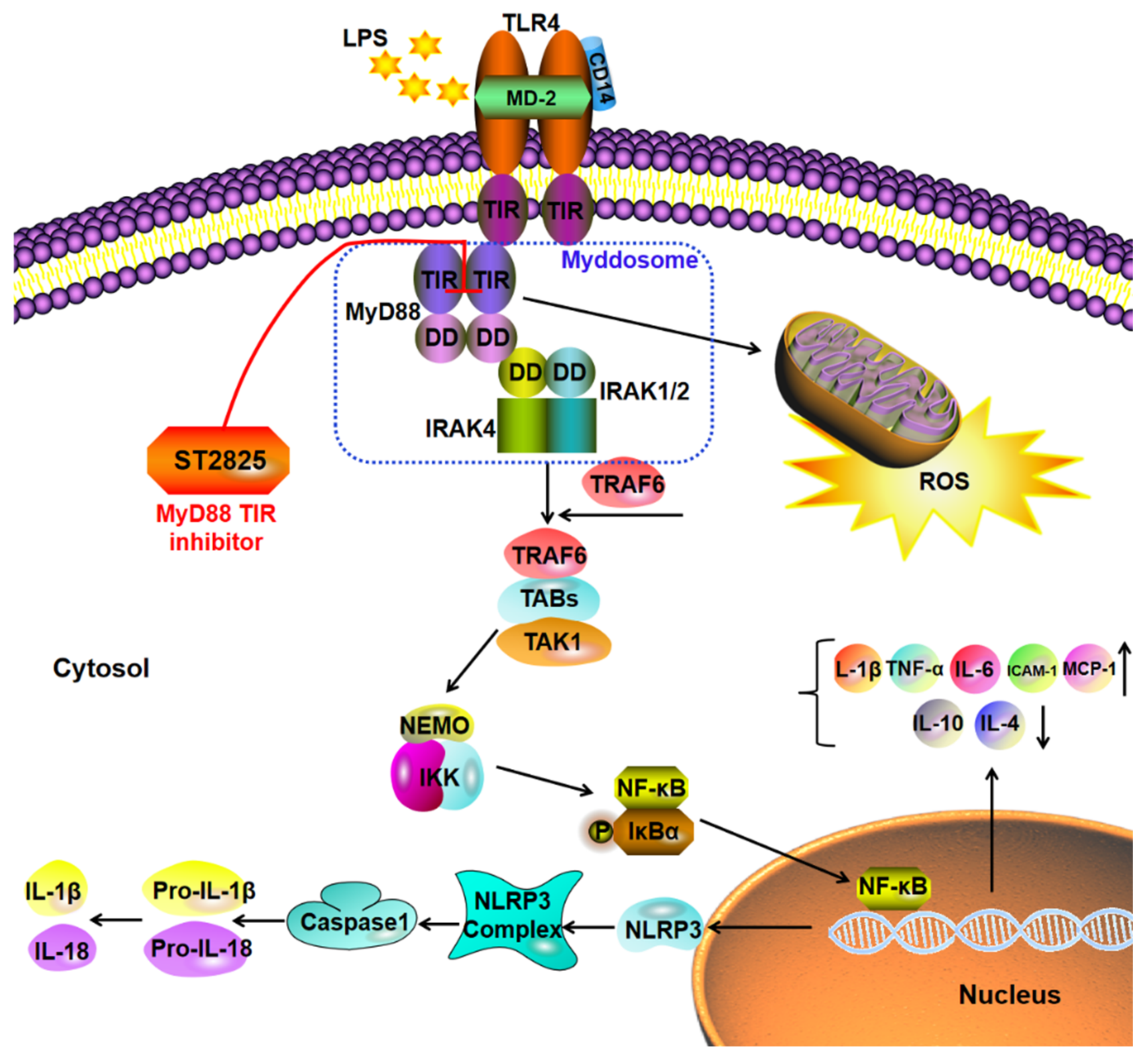 Molecules 27 02990 g007 550