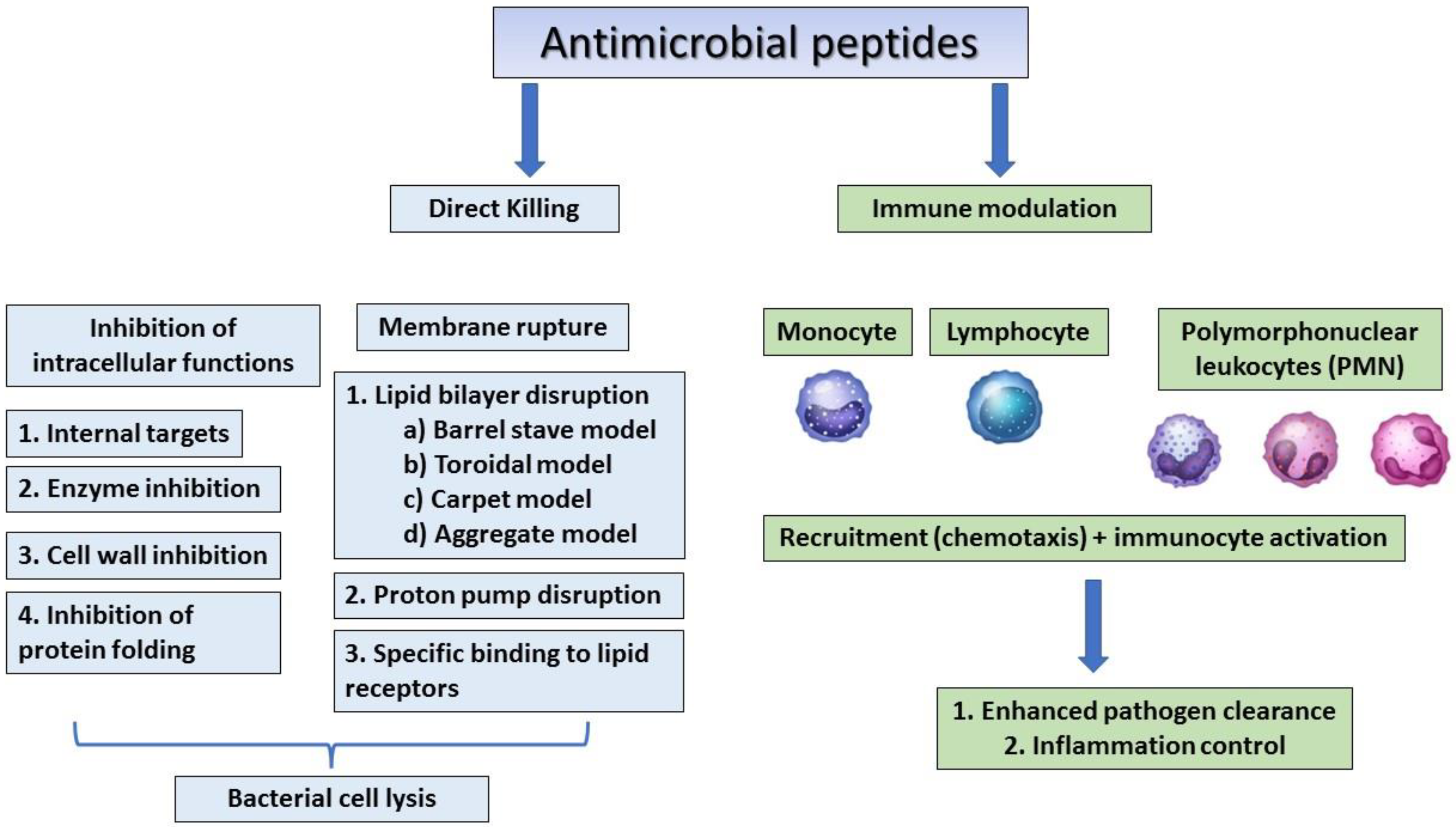 Molecules 27 02995 g002 550
