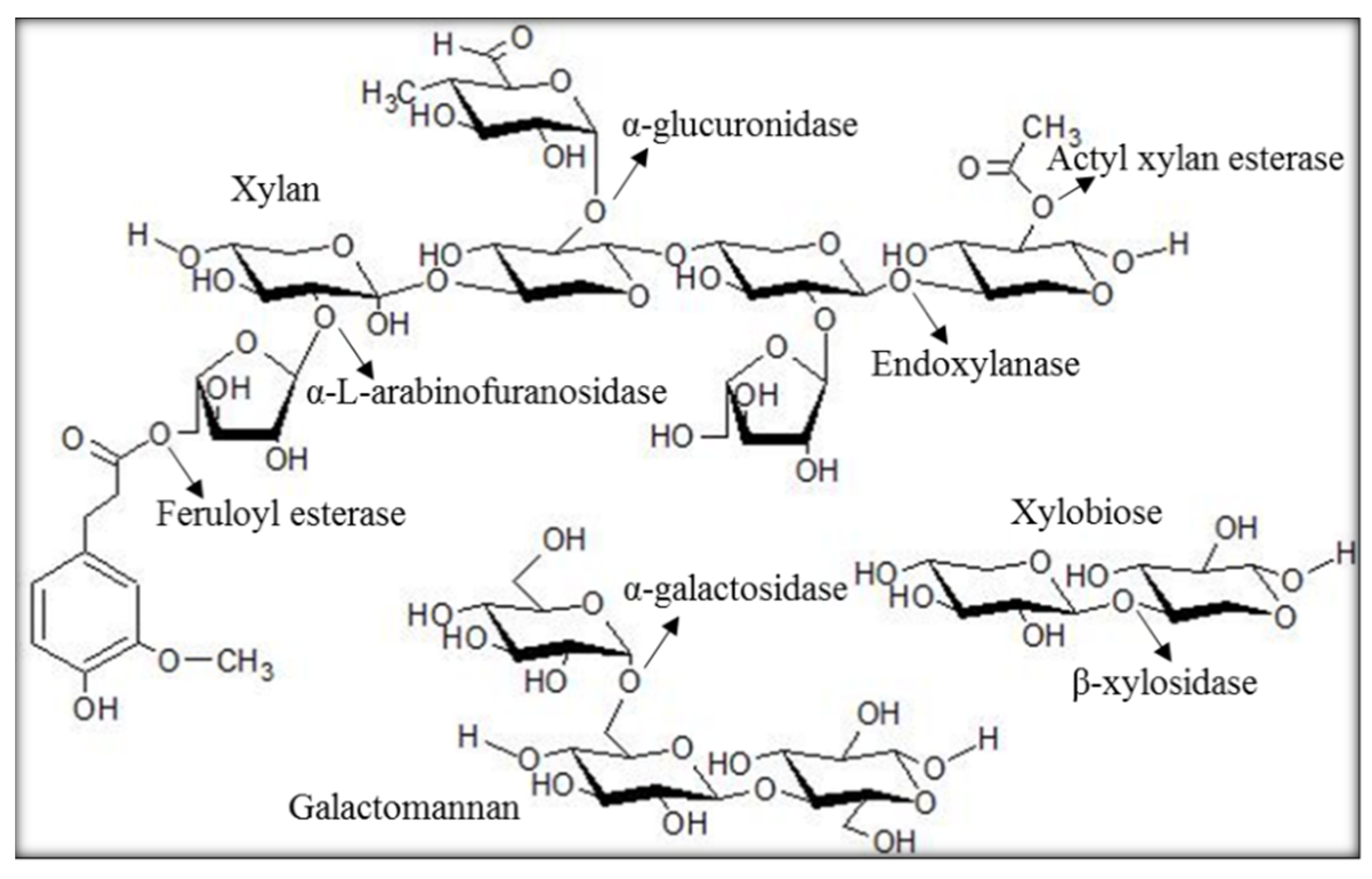Molecules 27 02999 g001 550