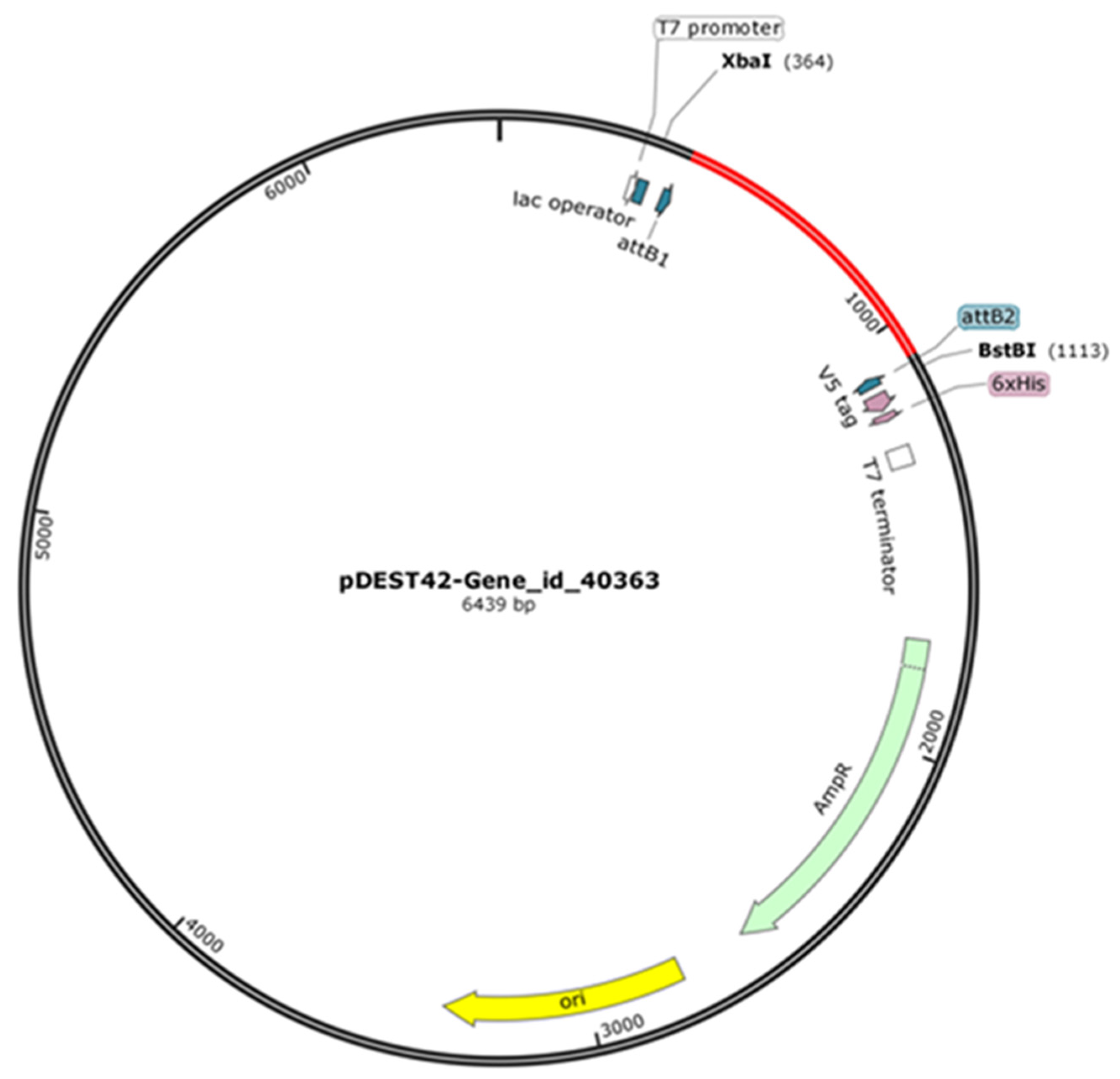Molecules 27 02999 g008 550