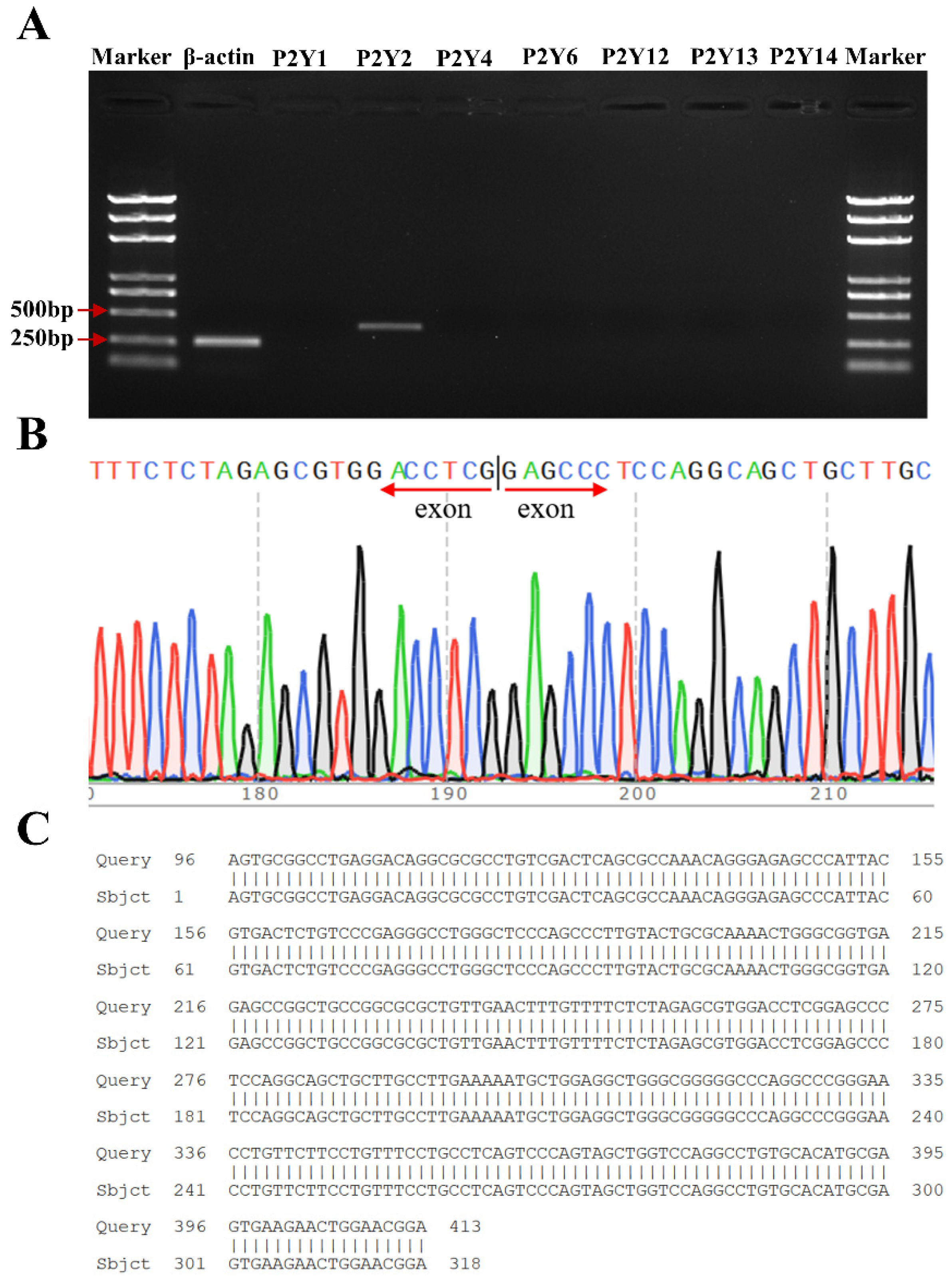 Molecules 27 03003 g004 550