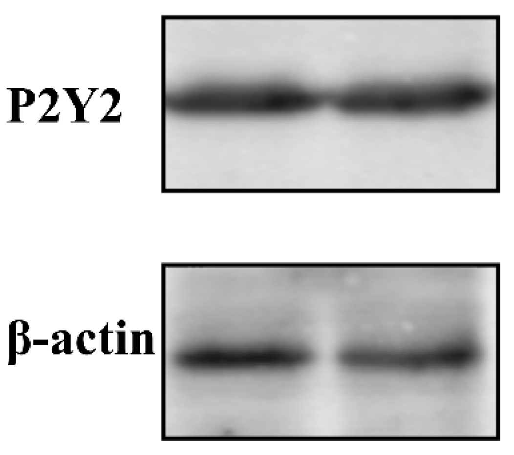 Molecules 27 03003 g005 550