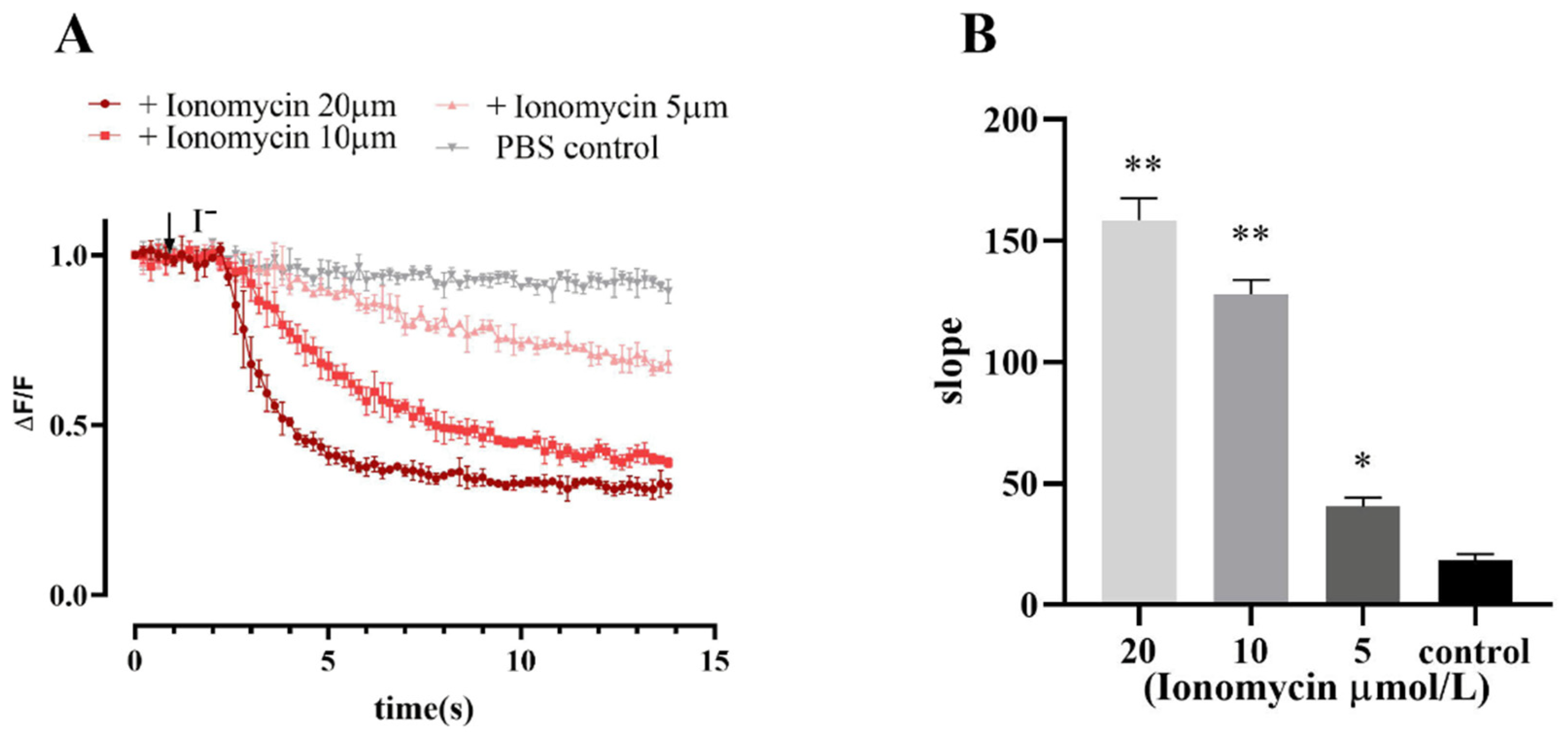 Molecules 27 03003 g006 550