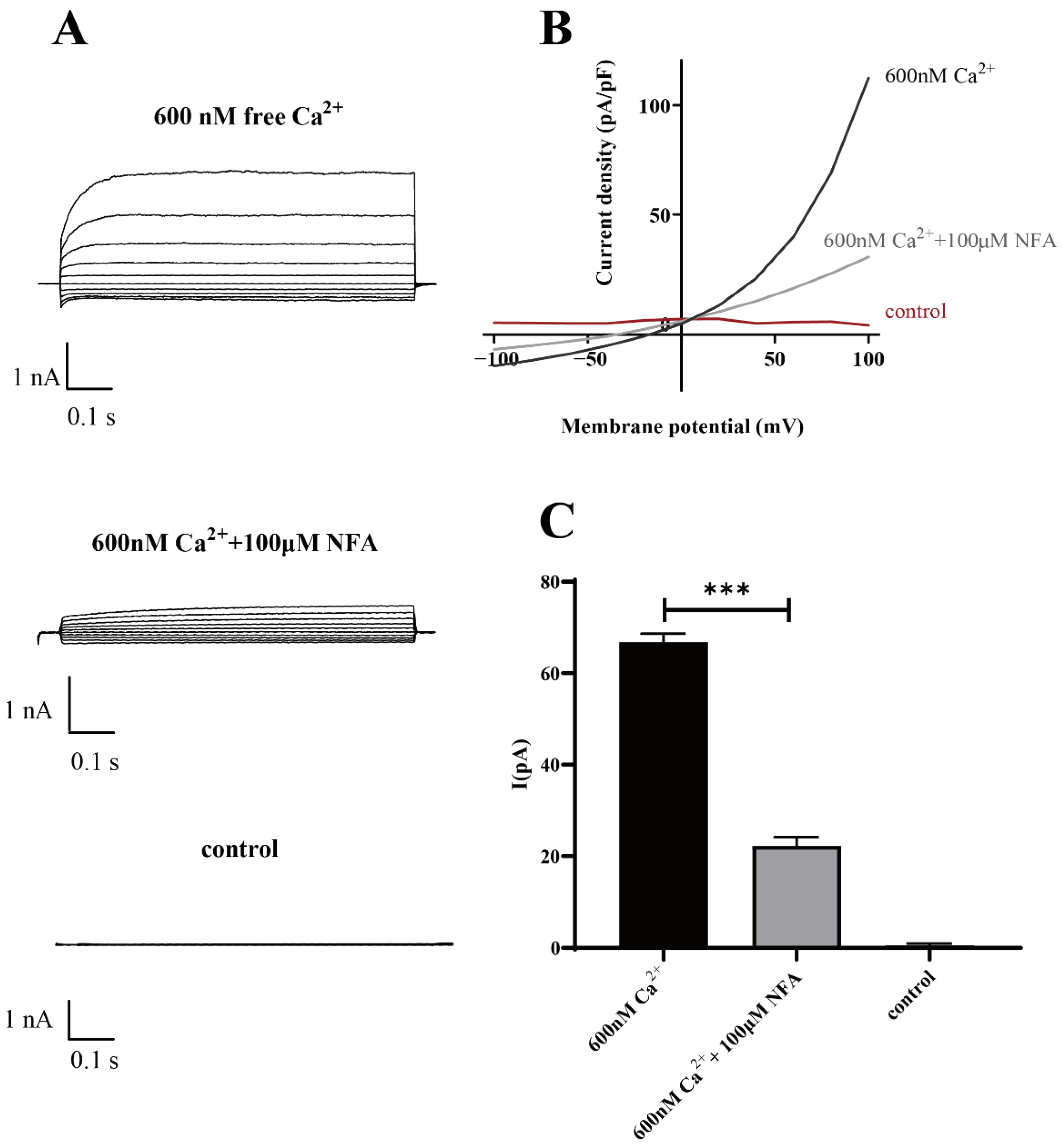Molecules 27 03003 g007 550