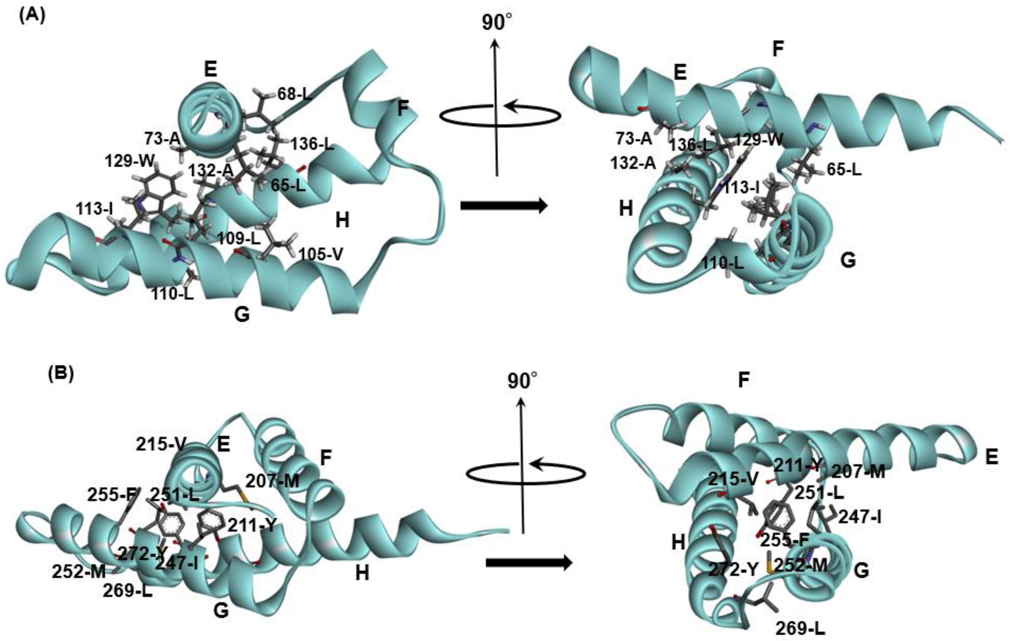 Molecules 27 03020 g005 Molecules 27 03020 g005
