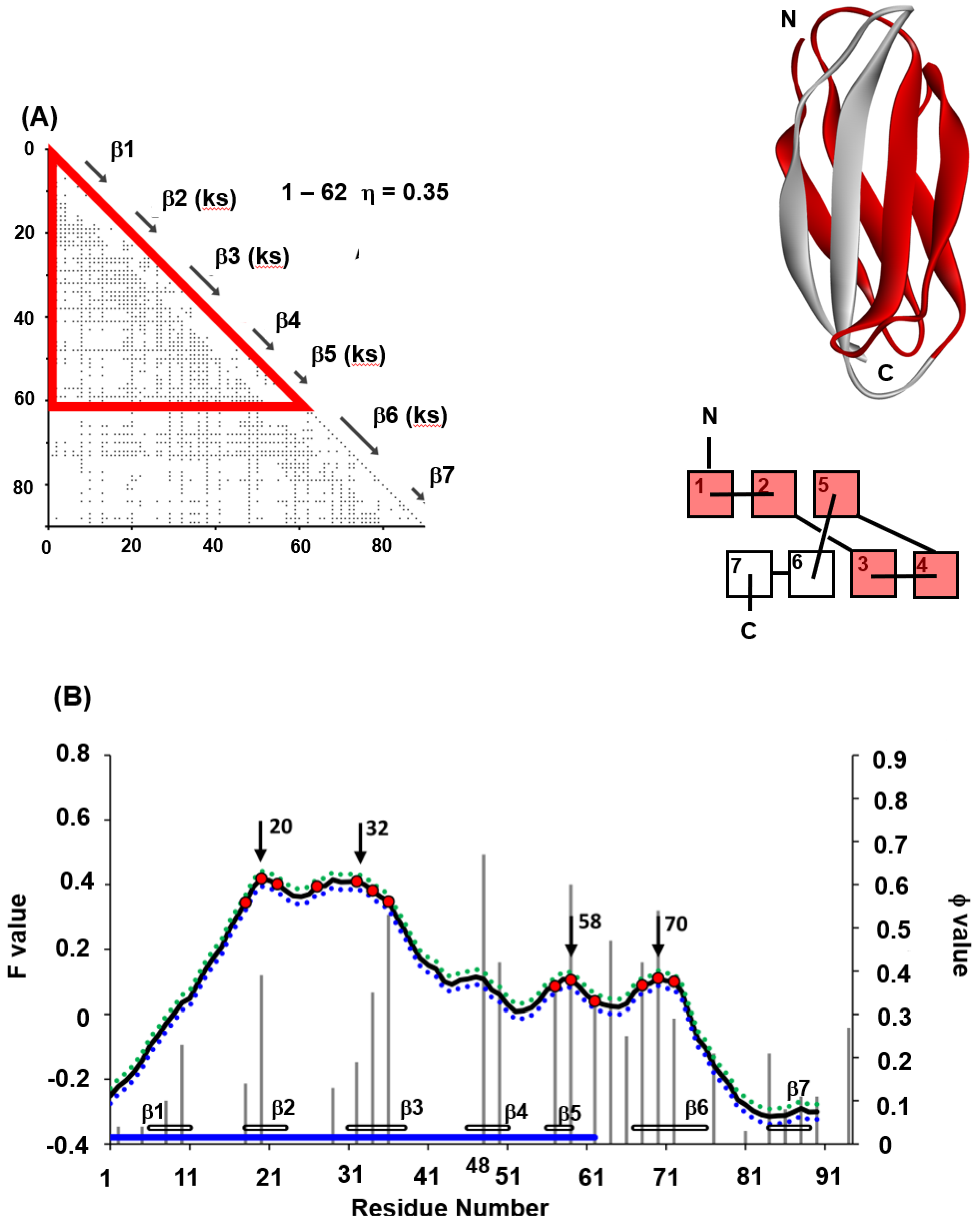 Molecules 27 03020 g011 Molecules 27 03020 g011