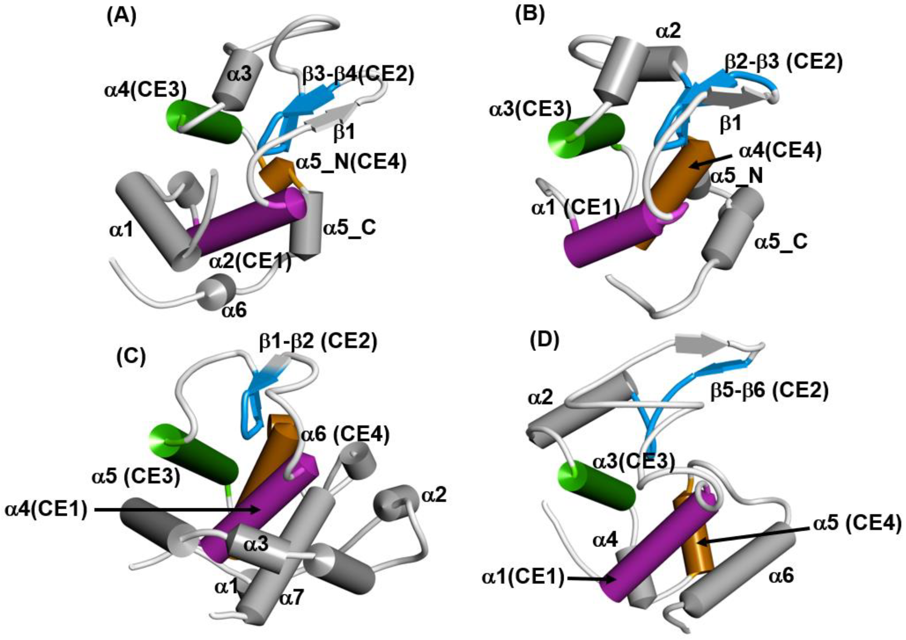 Molecules 27 03020 g012 Molecules 27 03020 g012