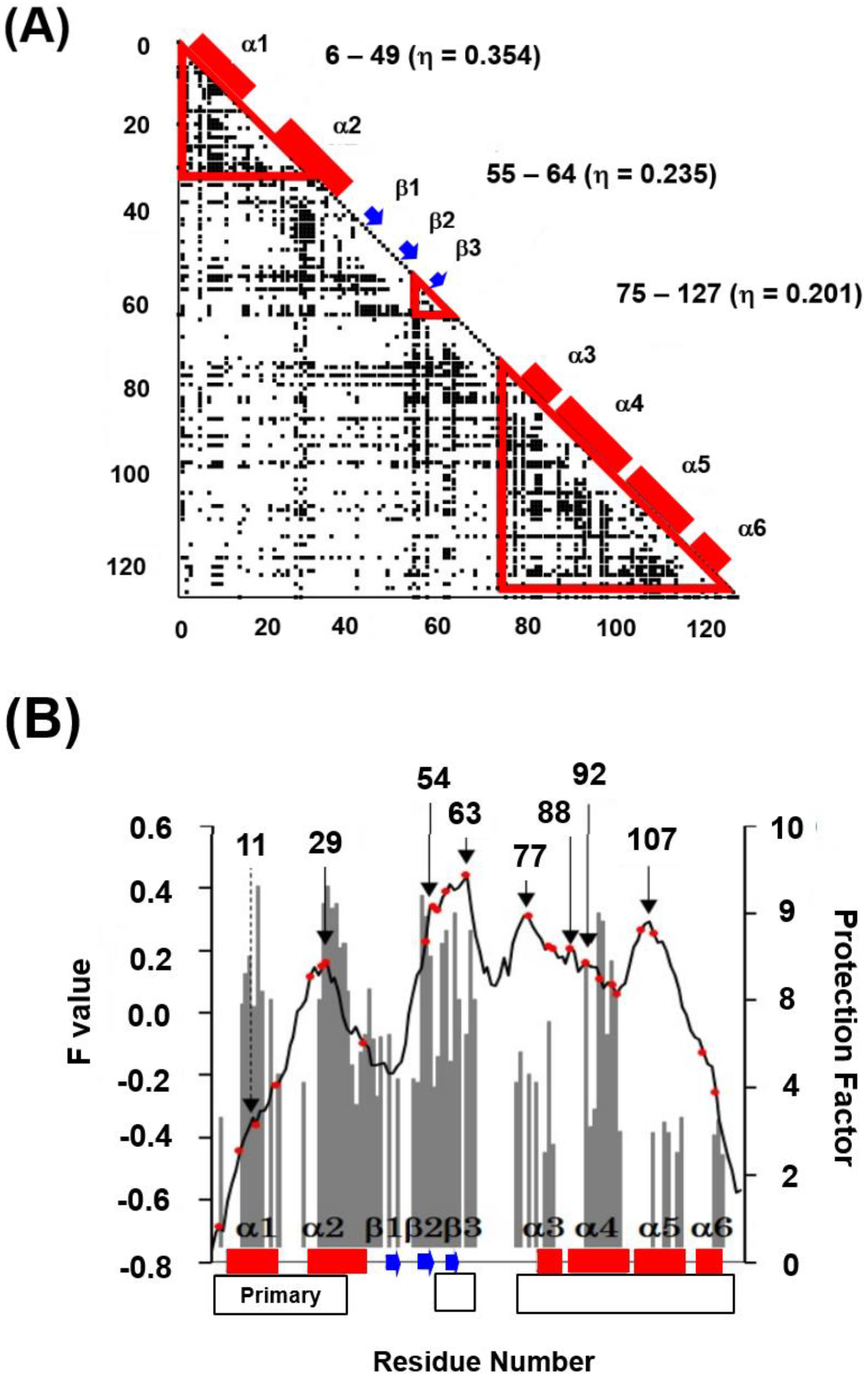 Molecules 27 03020 g013 Molecules 27 03020 g013