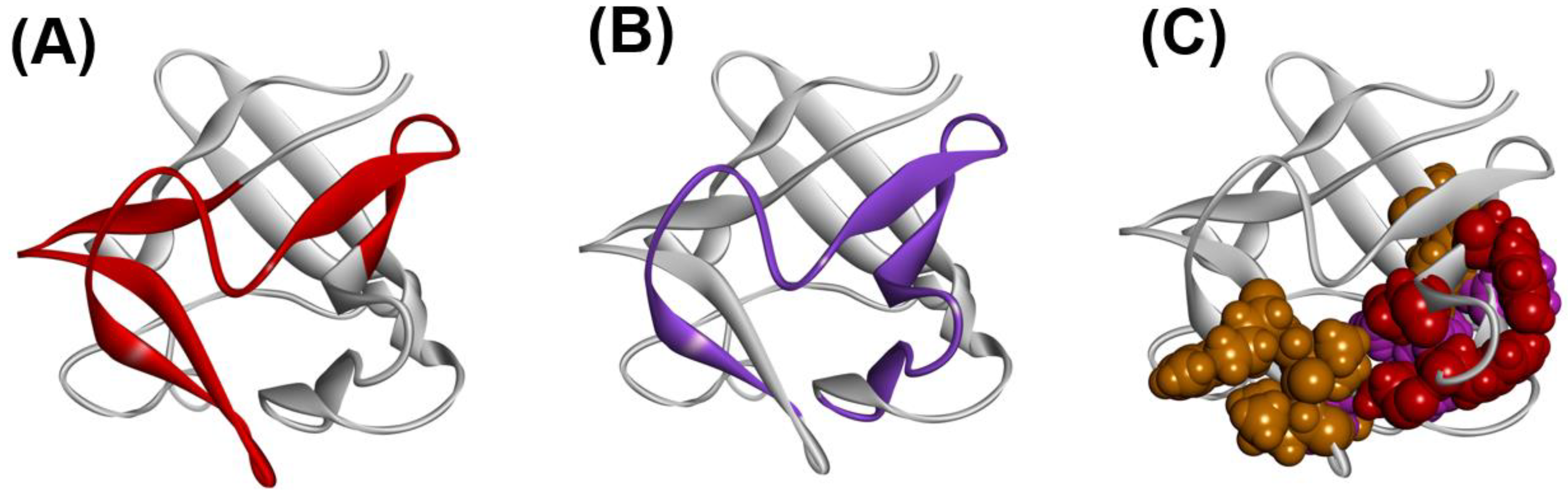 Molecules 27 03020 g016 Molecules 27 03020 g016