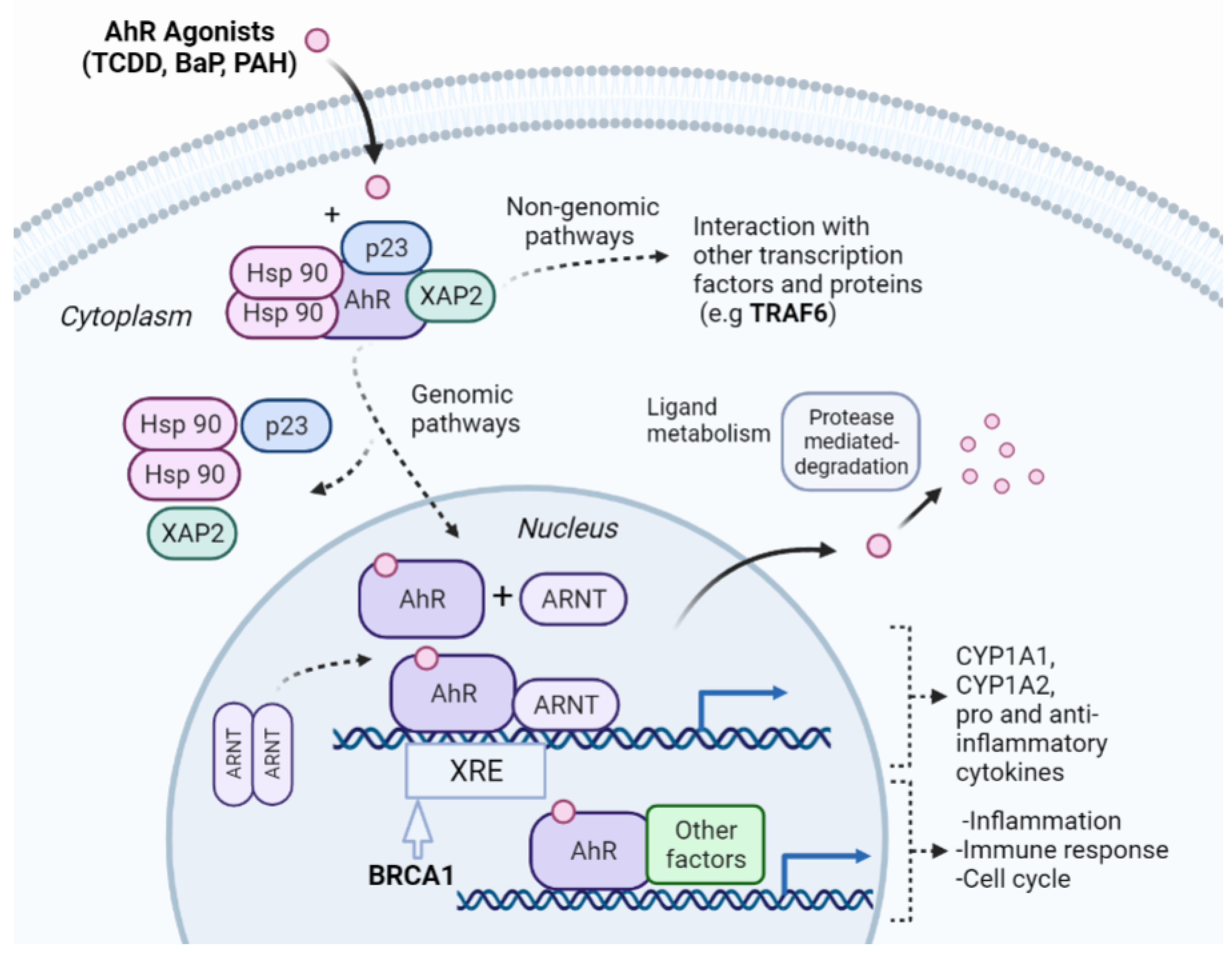 Molecules 27 03021 g003