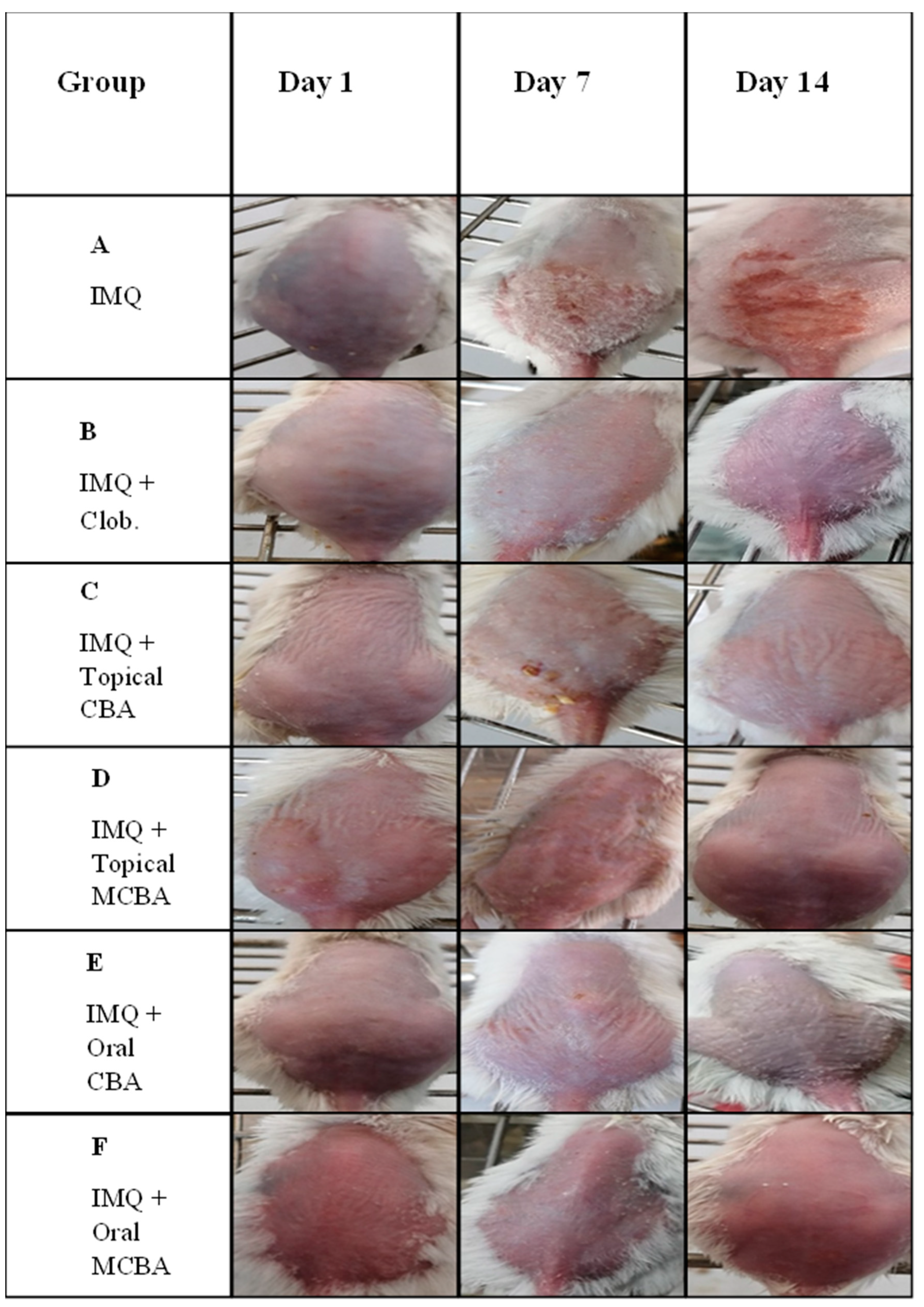 Molecules 27 03023 g001 Molecules 27 03023 g001