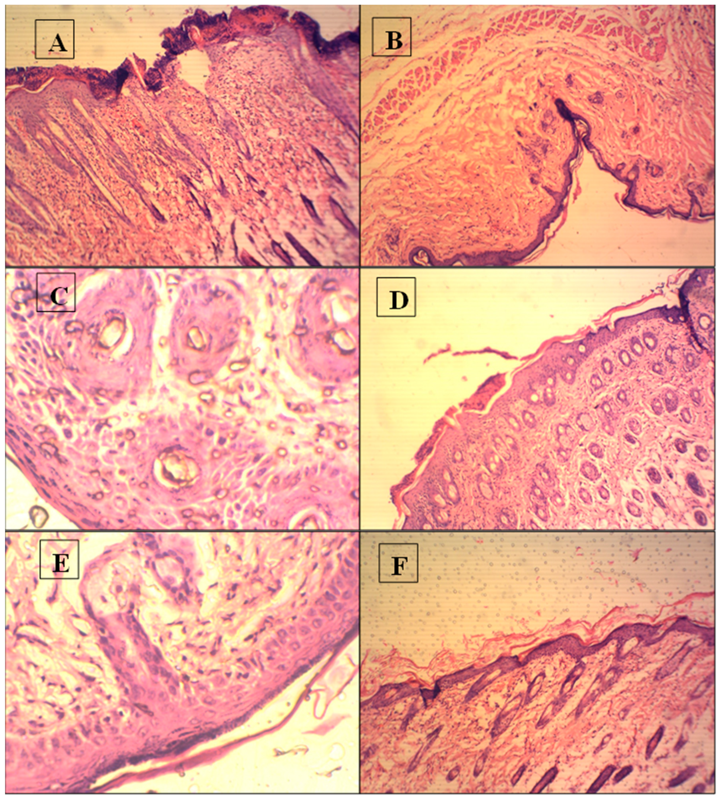 Molecules 27 03023 g003 Molecules 27 03023 g003