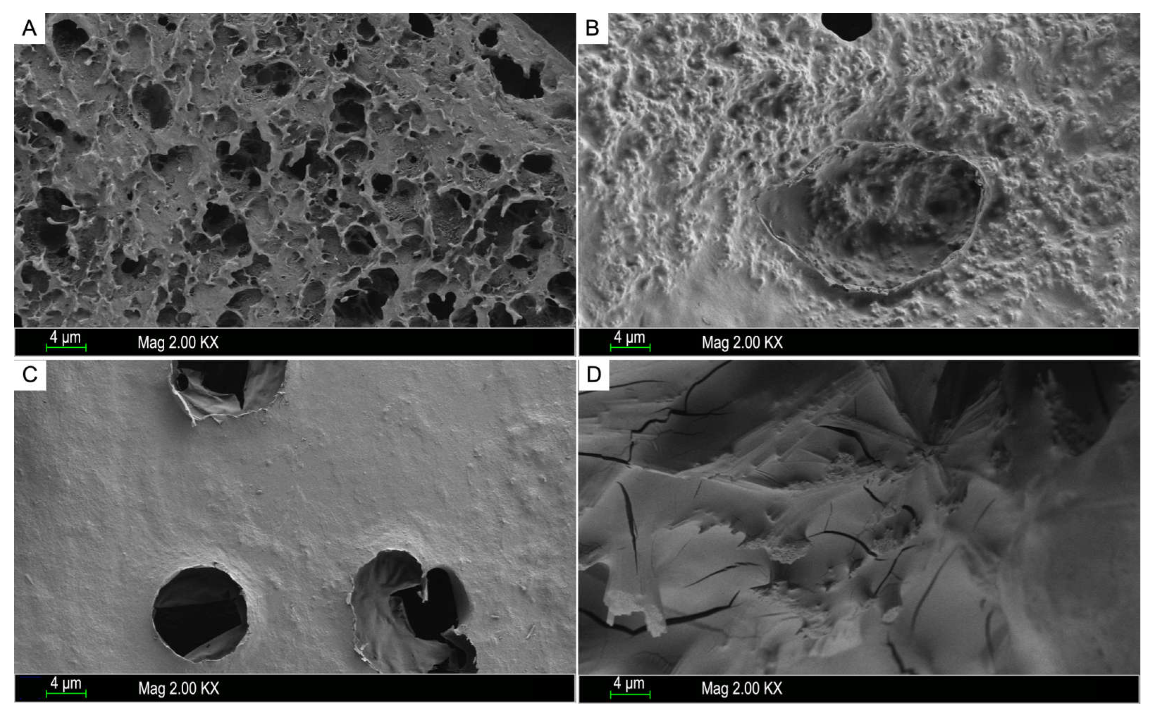Molecules 27 03027 g004