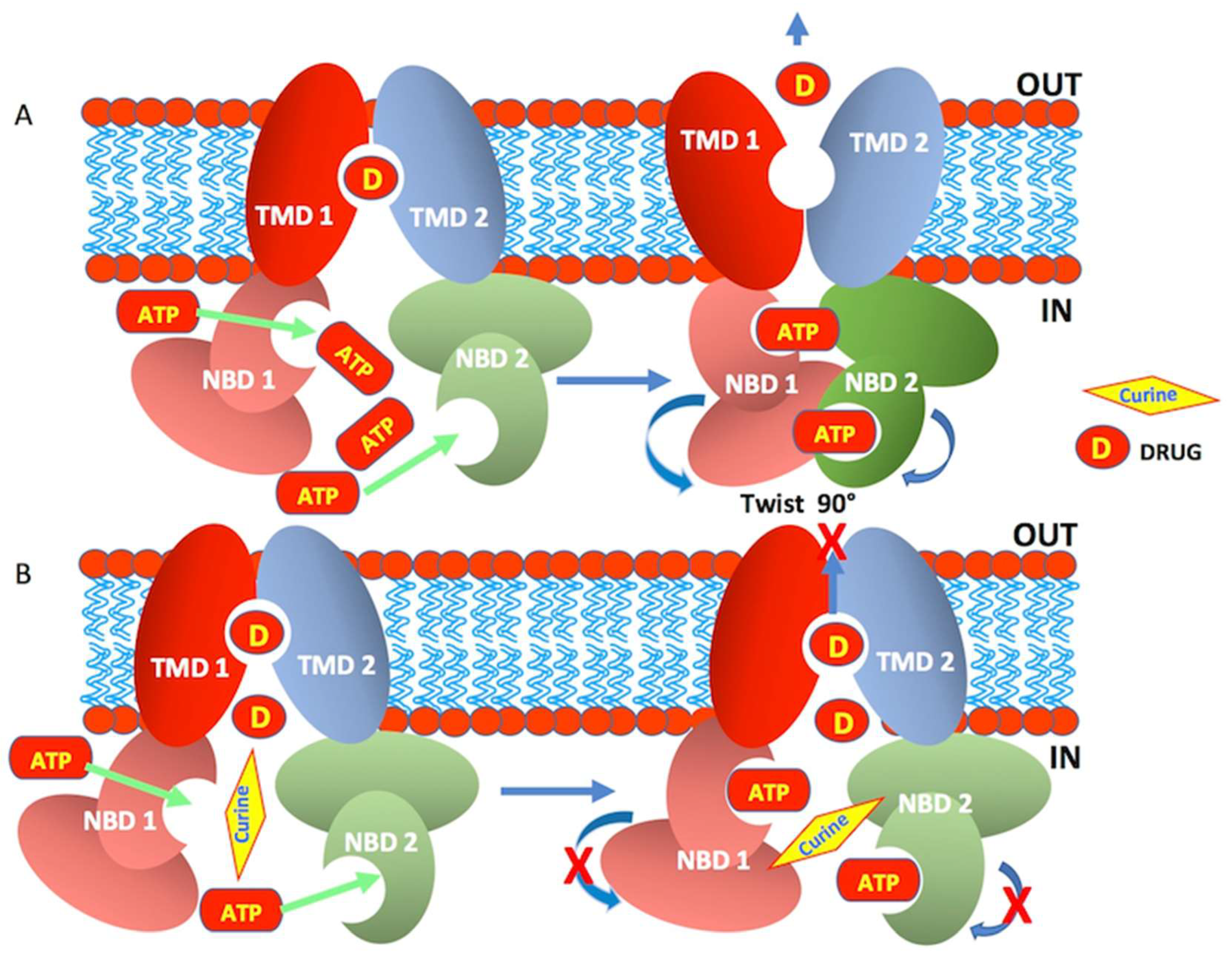 Molecules 27 03030 sch001 550