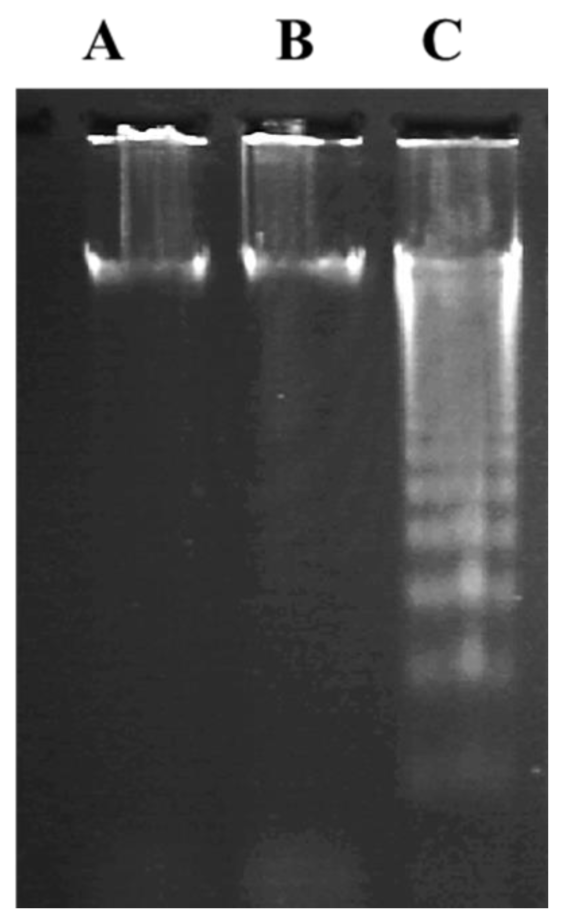 Molecules 27 03032 g004 550