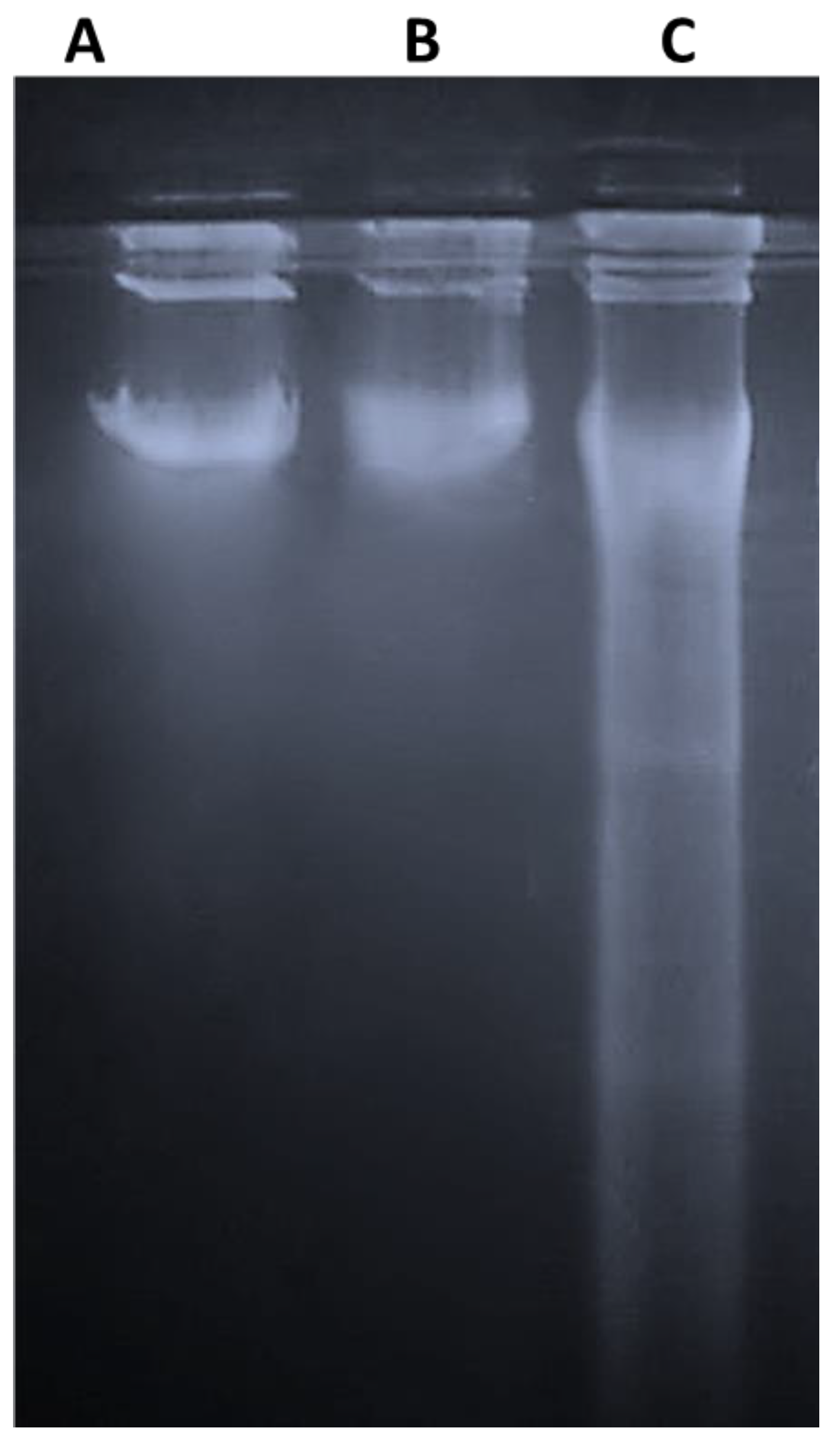 Molecules 27 03032 g007 550