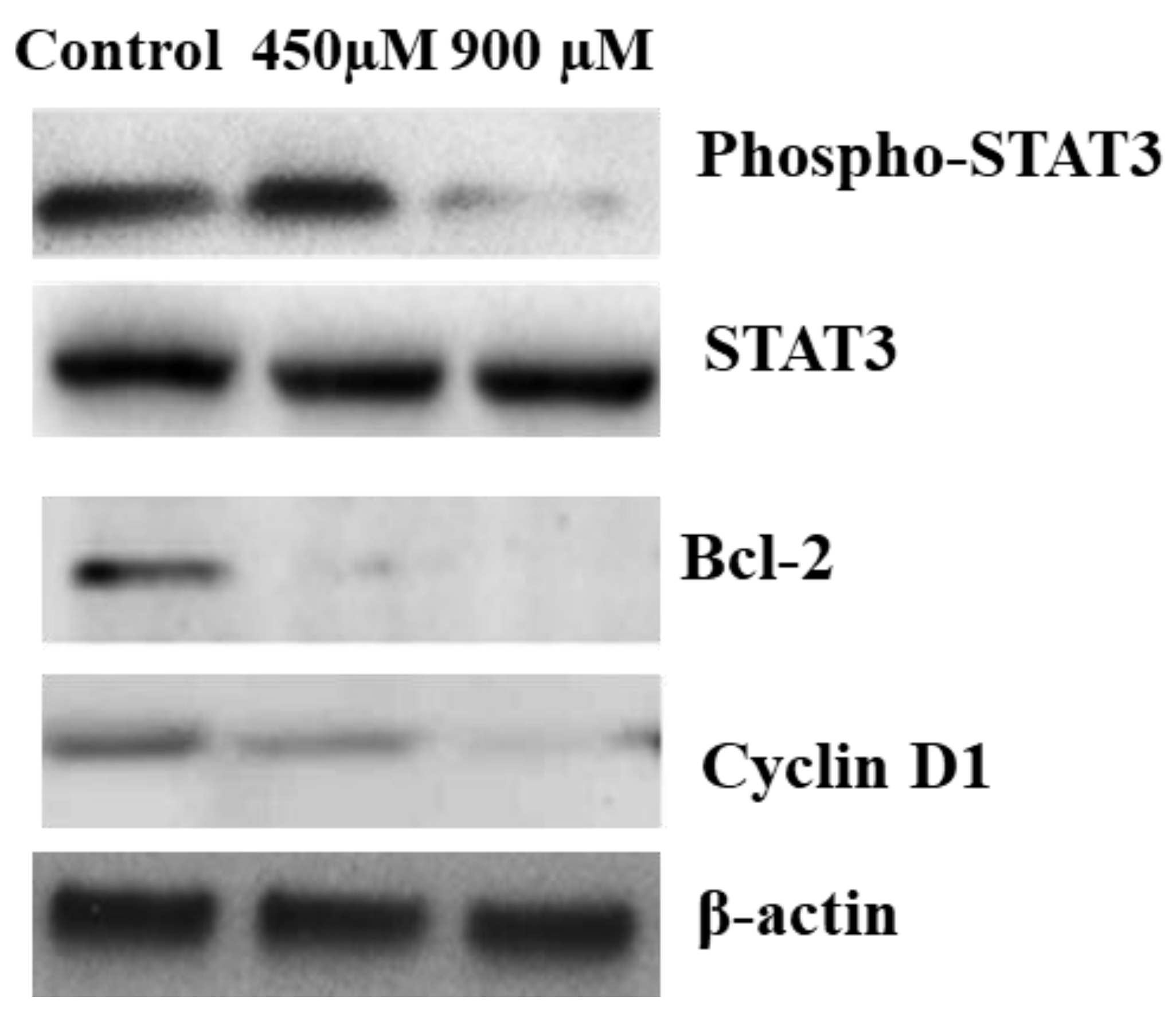Molecules 27 03032 g009 550