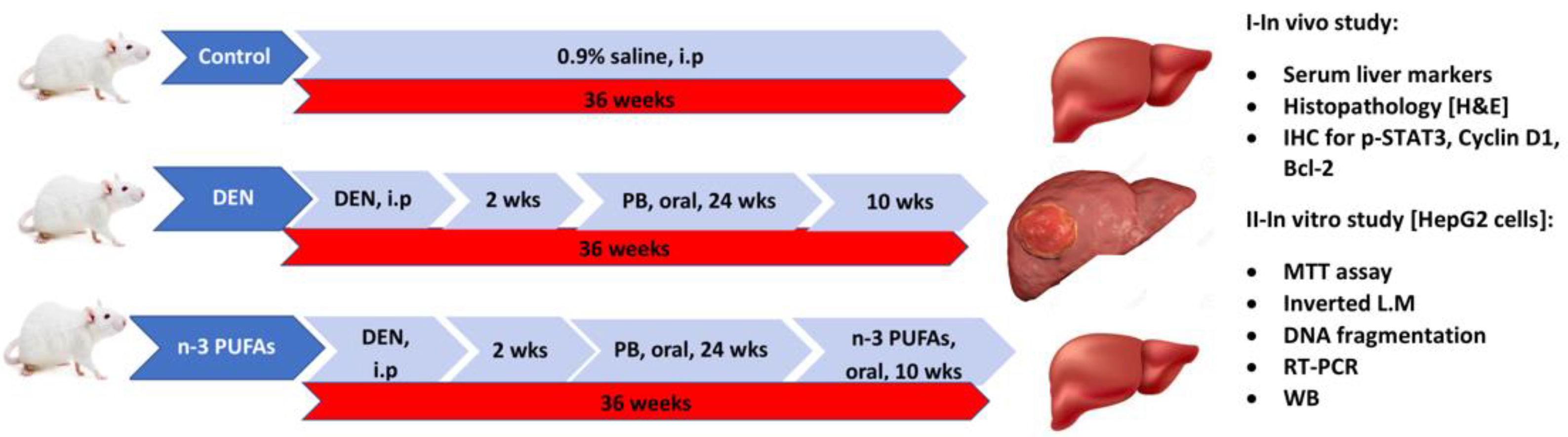 Molecules 27 03032 g010 550