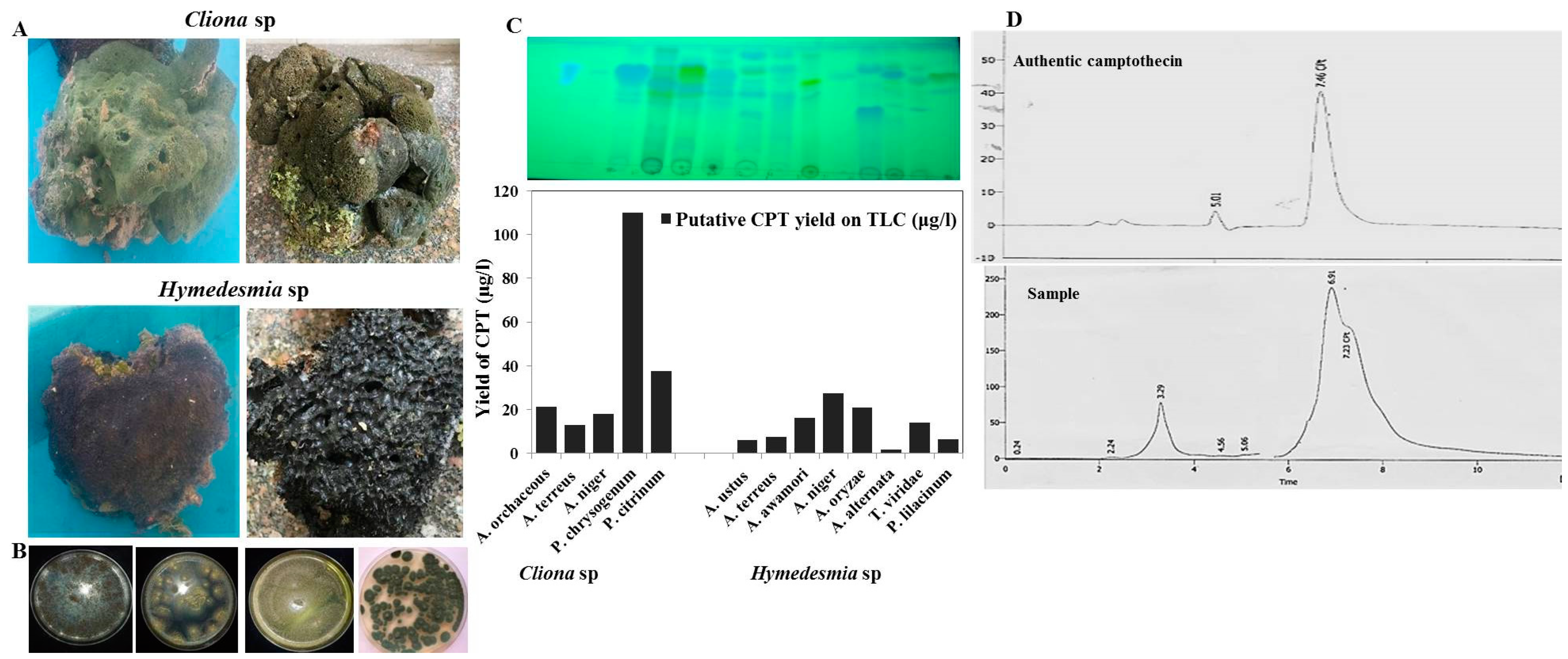 Molecules 27 03033 g001 550