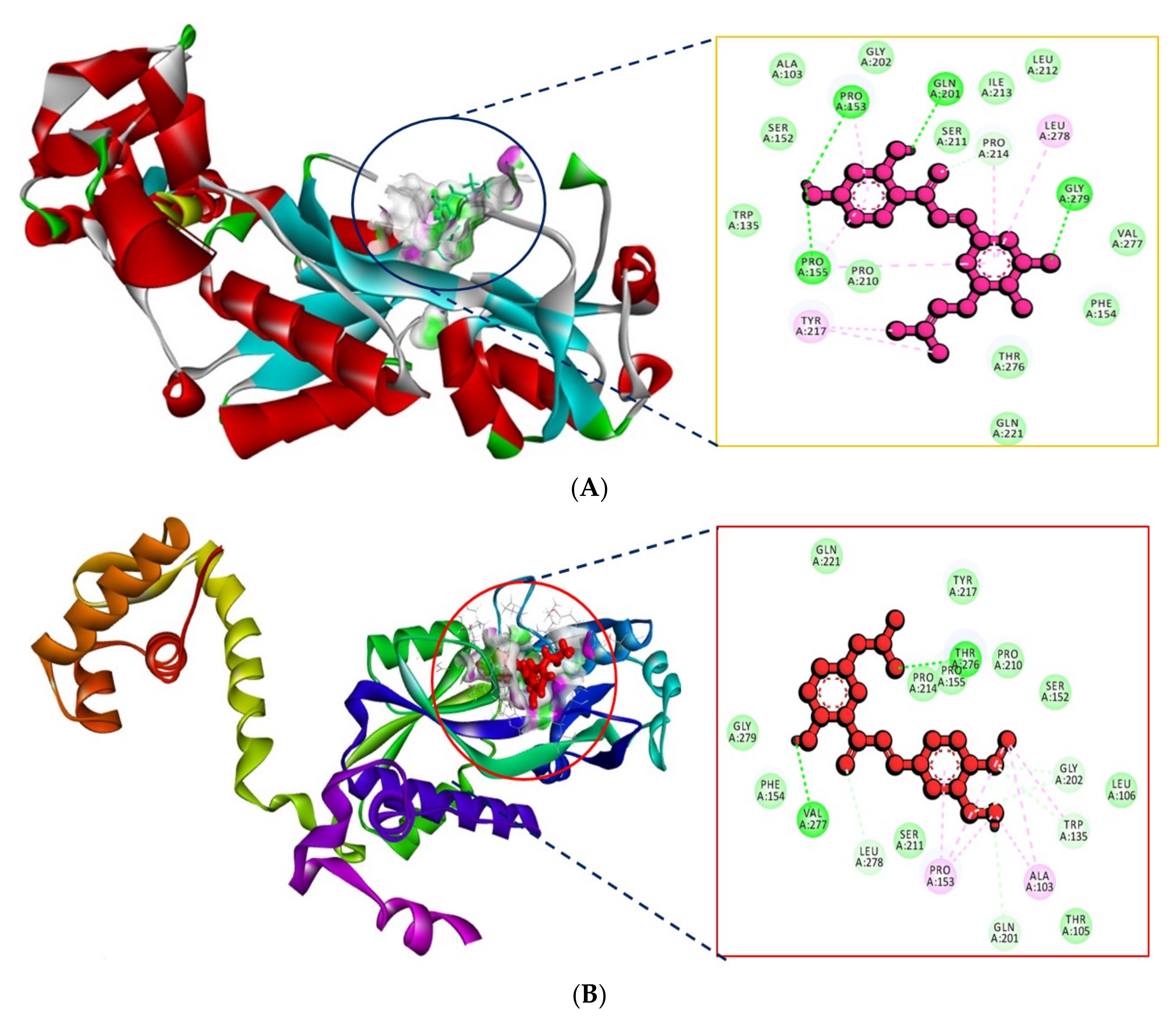 Molecules 27 03034 g002 Molecules 27 03034 g002