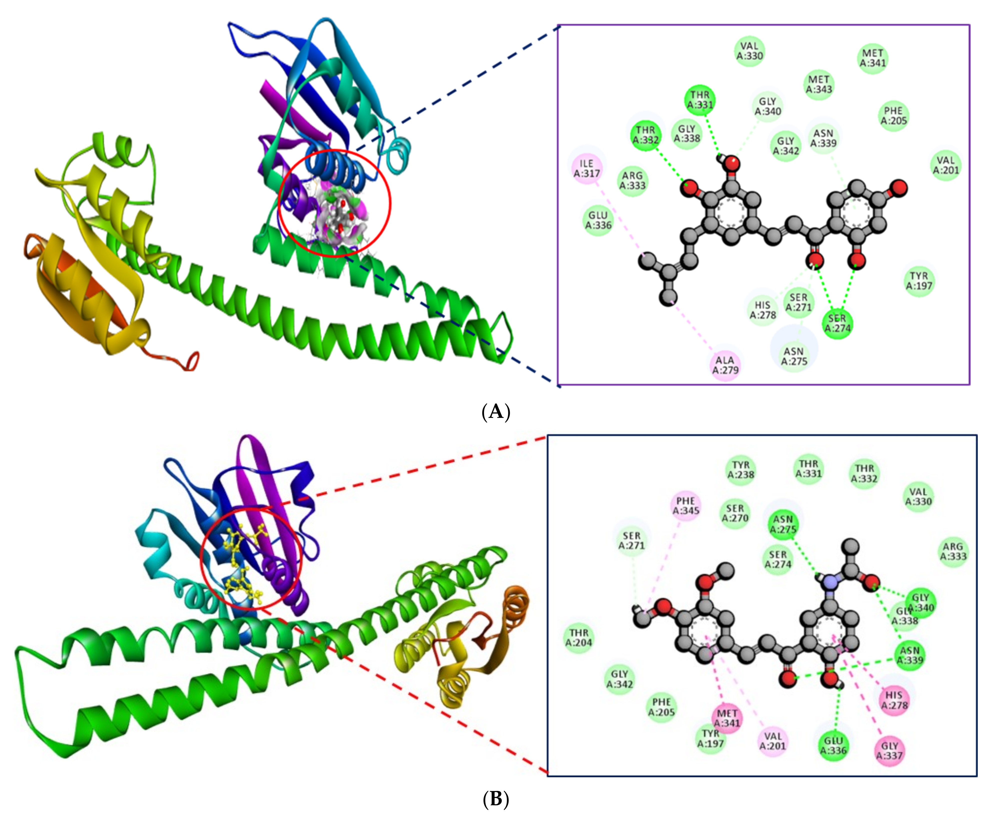 Molecules 27 03034 g003 Molecules 27 03034 g003