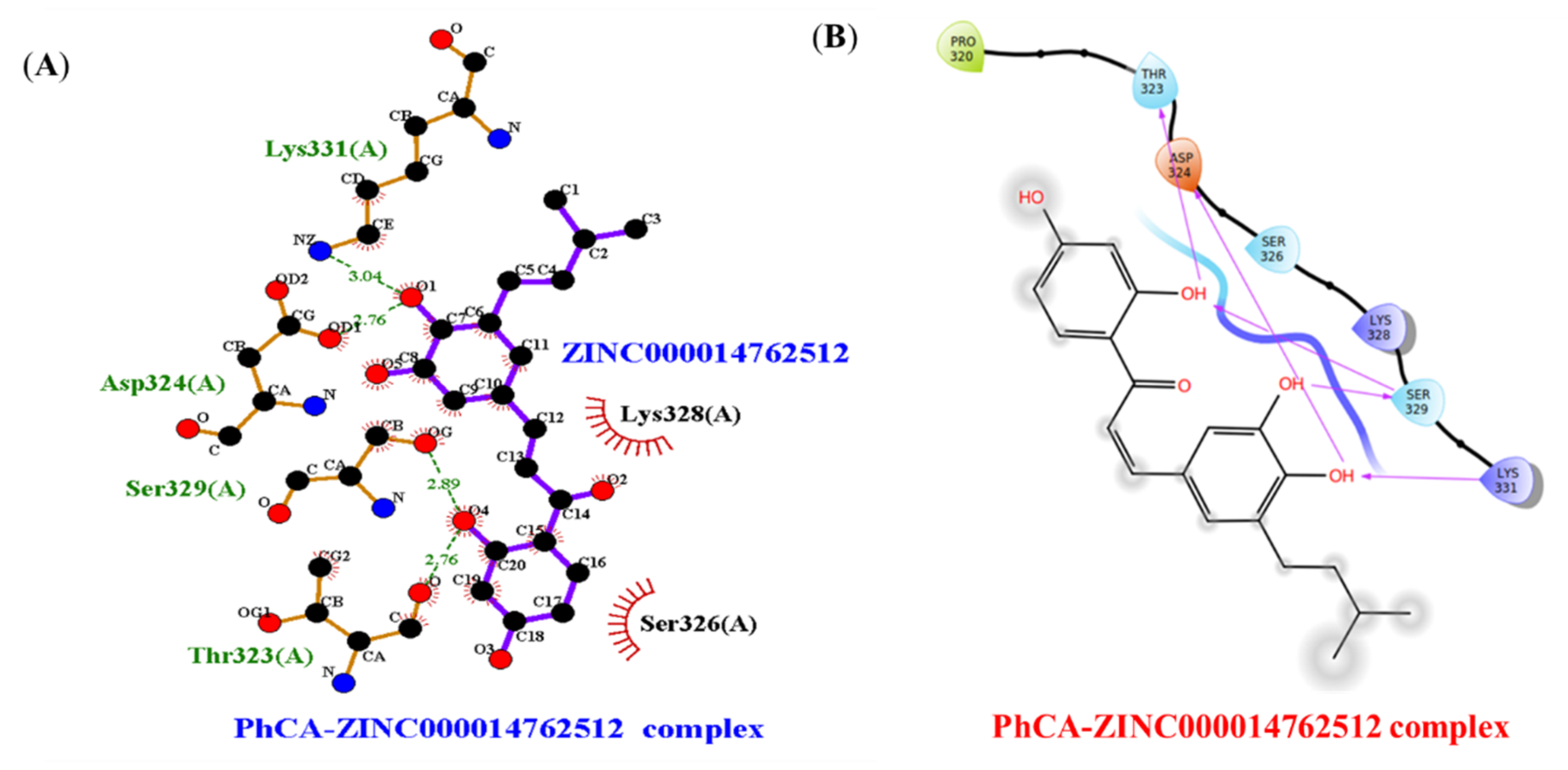 Molecules 27 03034 g004 Molecules 27 03034 g004