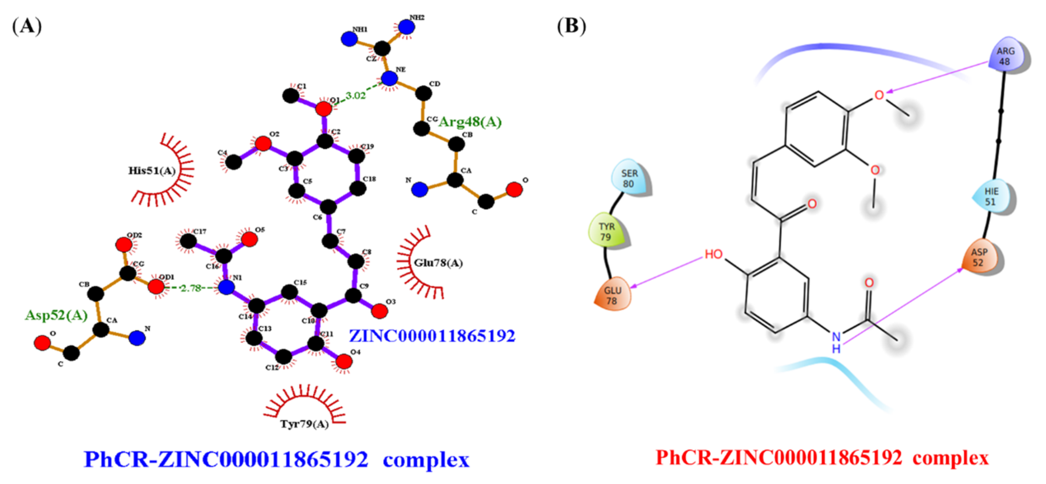 Molecules 27 03034 g005 Molecules 27 03034 g005