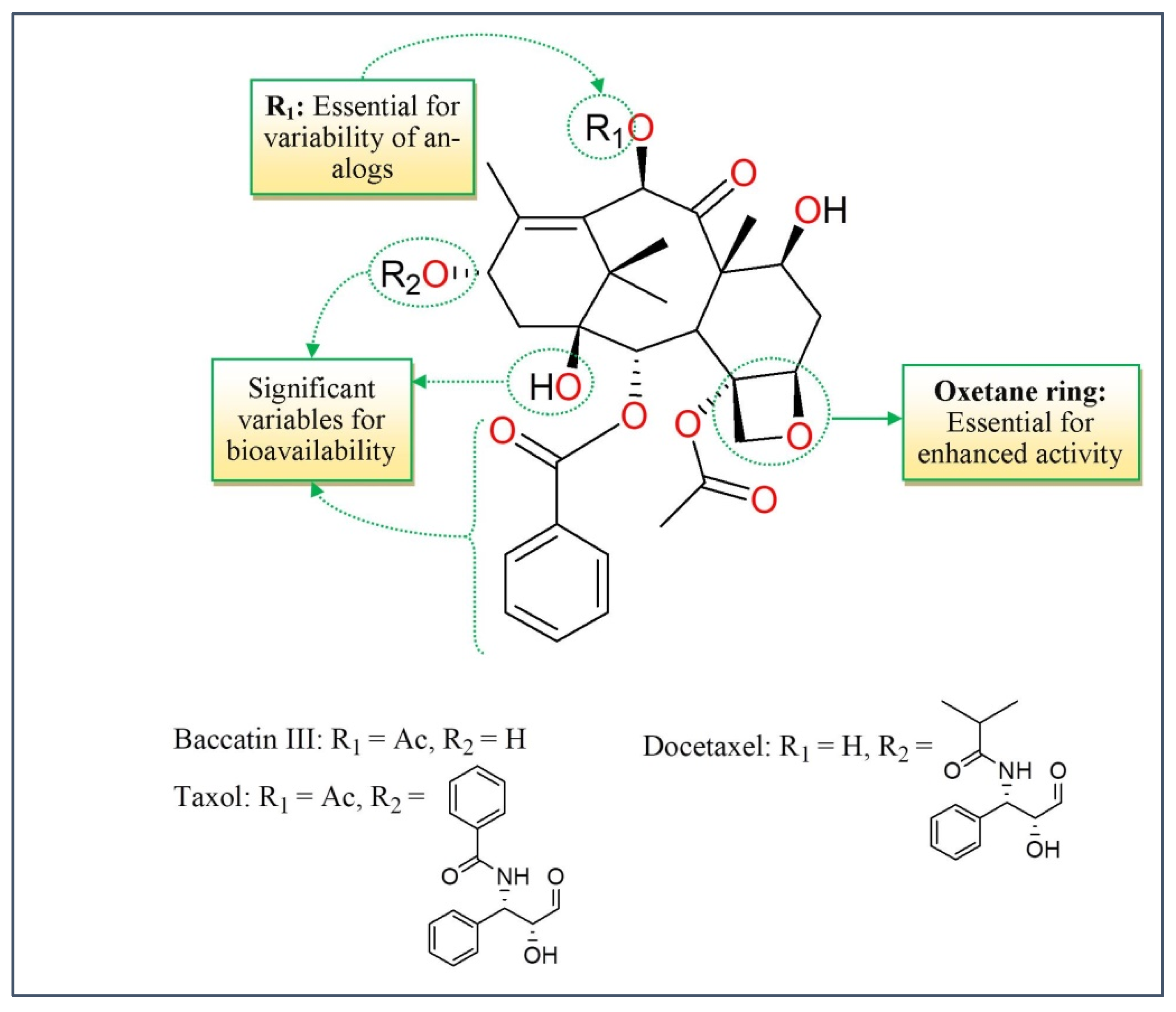 Molecules 27 03036 g003