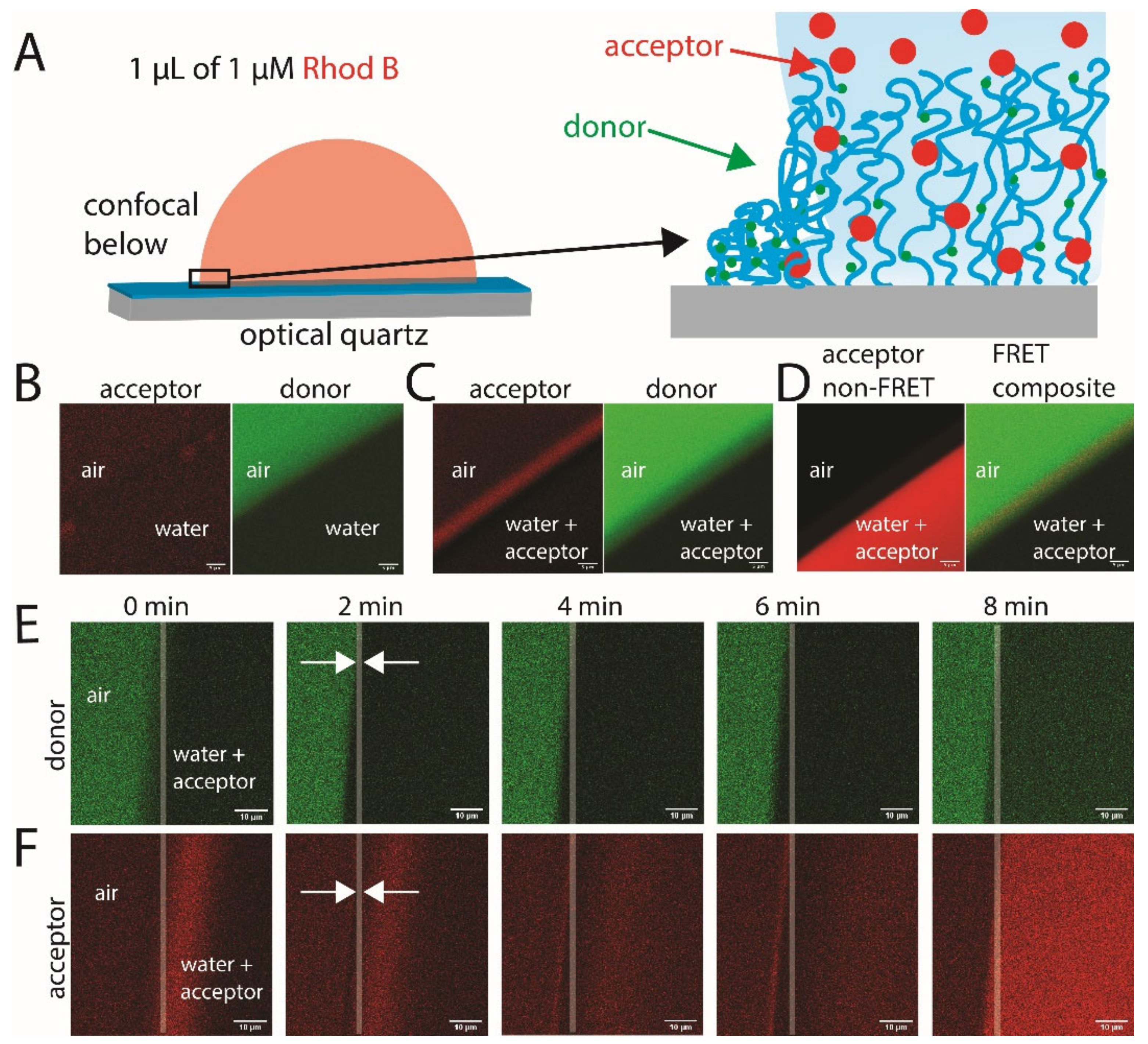 Molecules 27 03043 g002 550