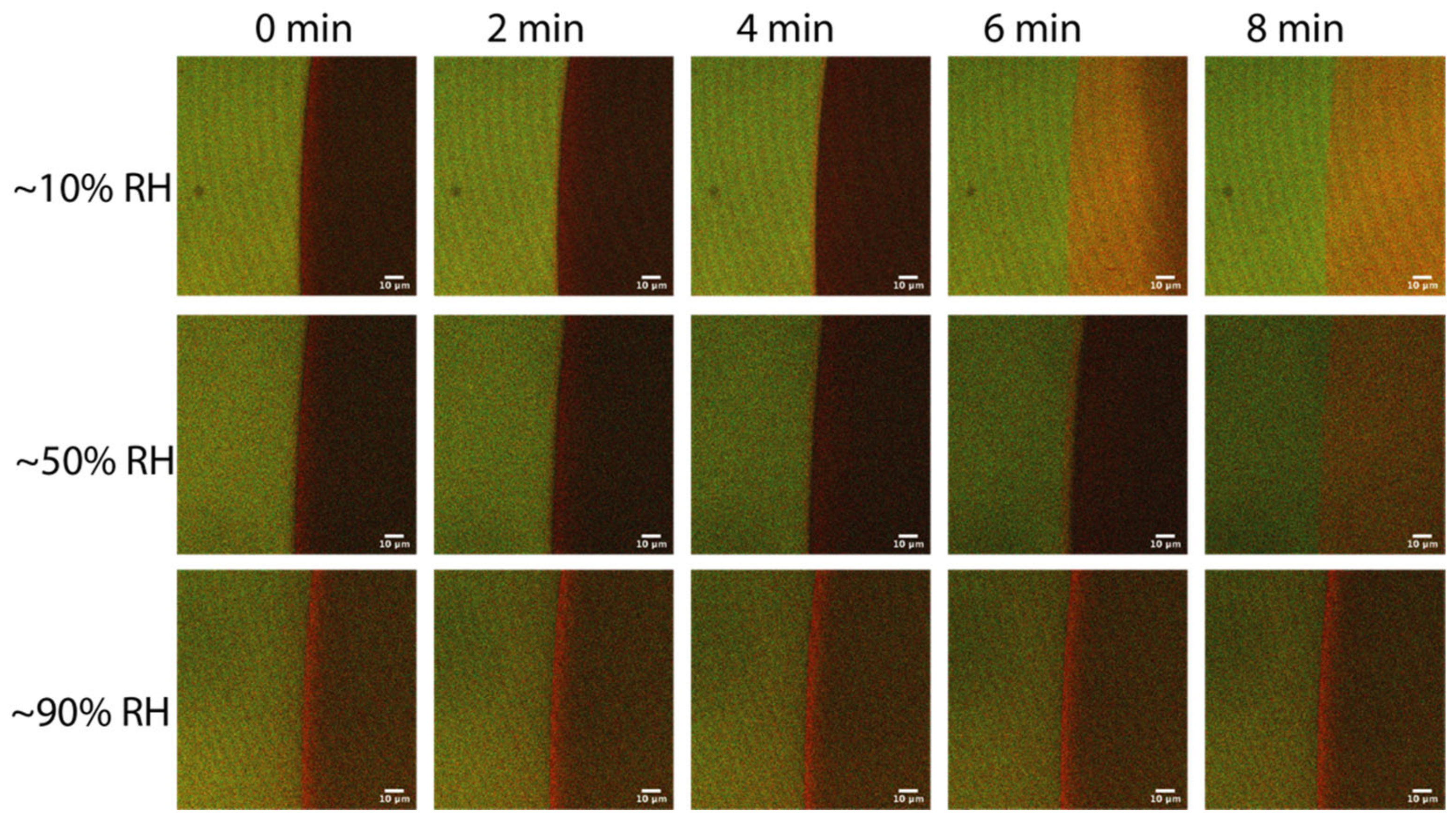 Molecules 27 03043 g003 550
