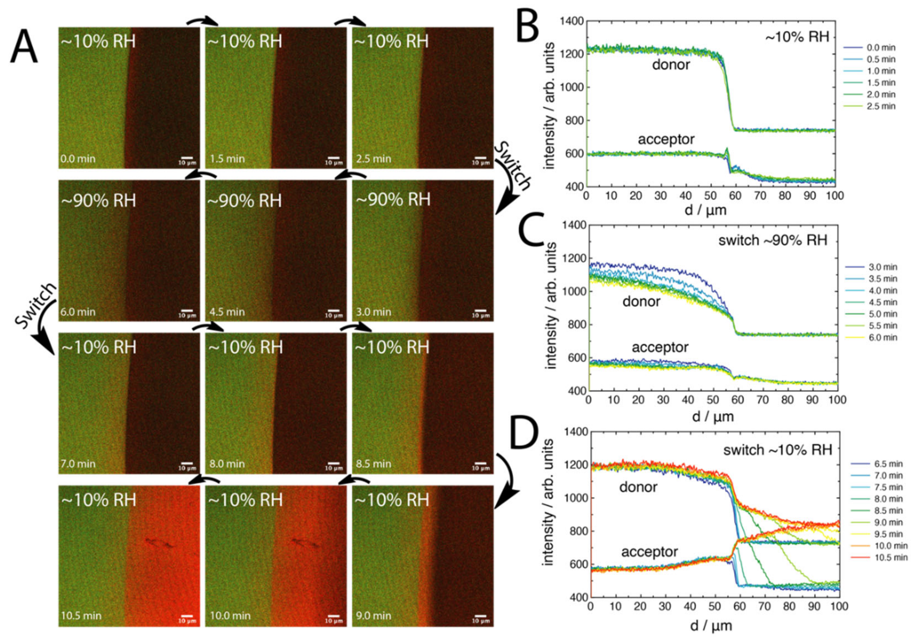 Molecules 27 03043 g005 550