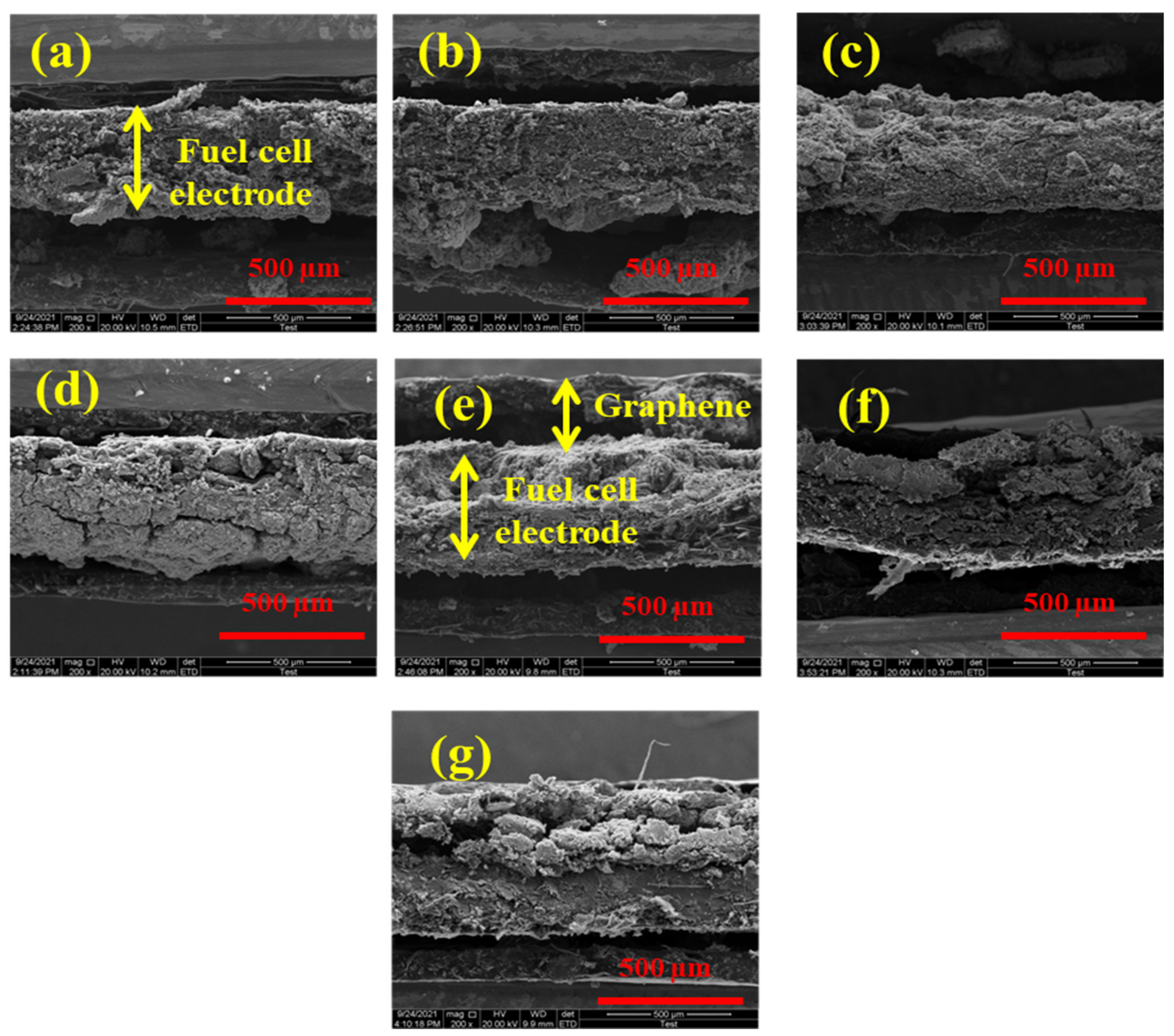 Molecules 27 03044 g004 550