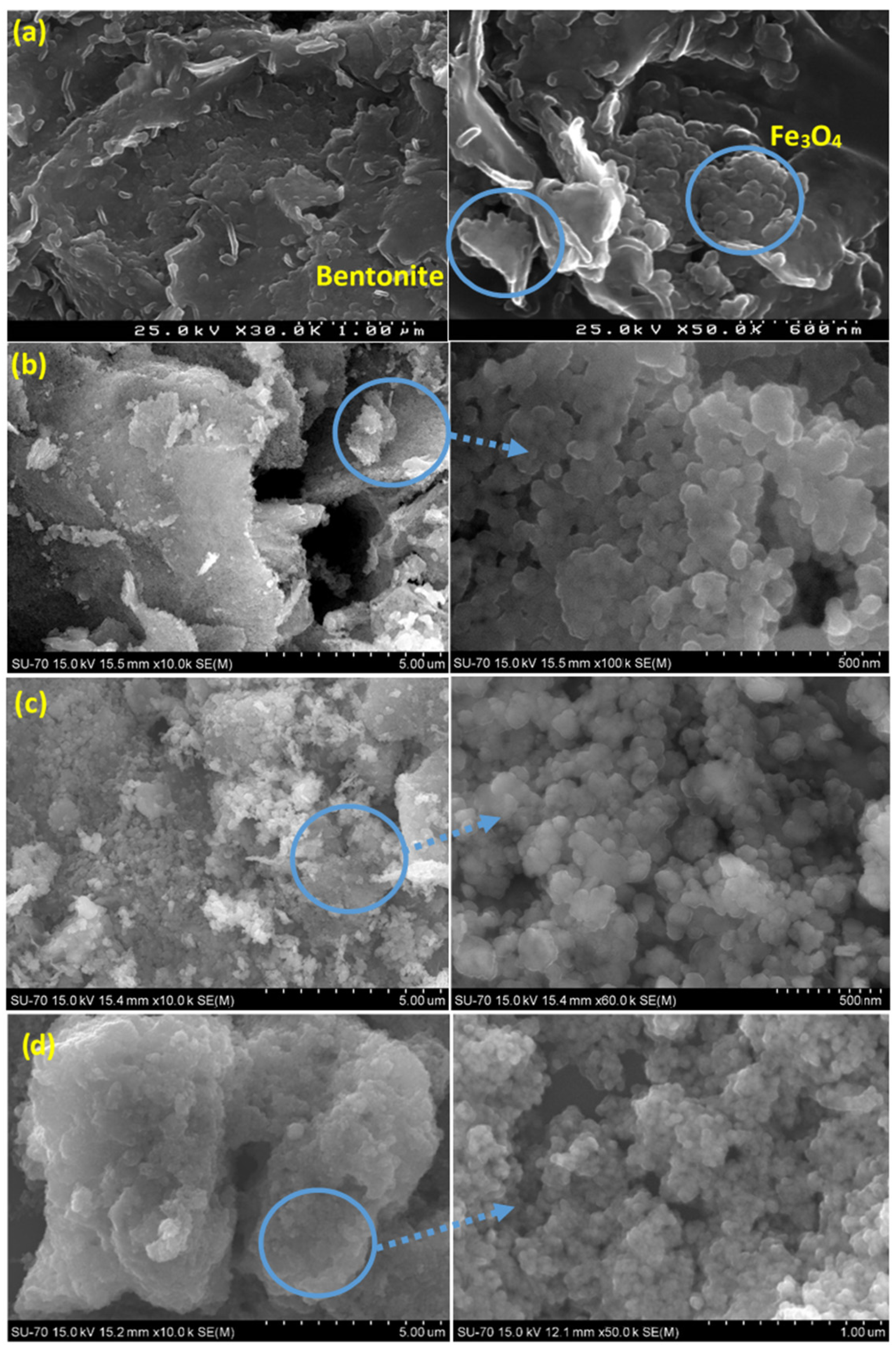 Molecules 27 03050 g002