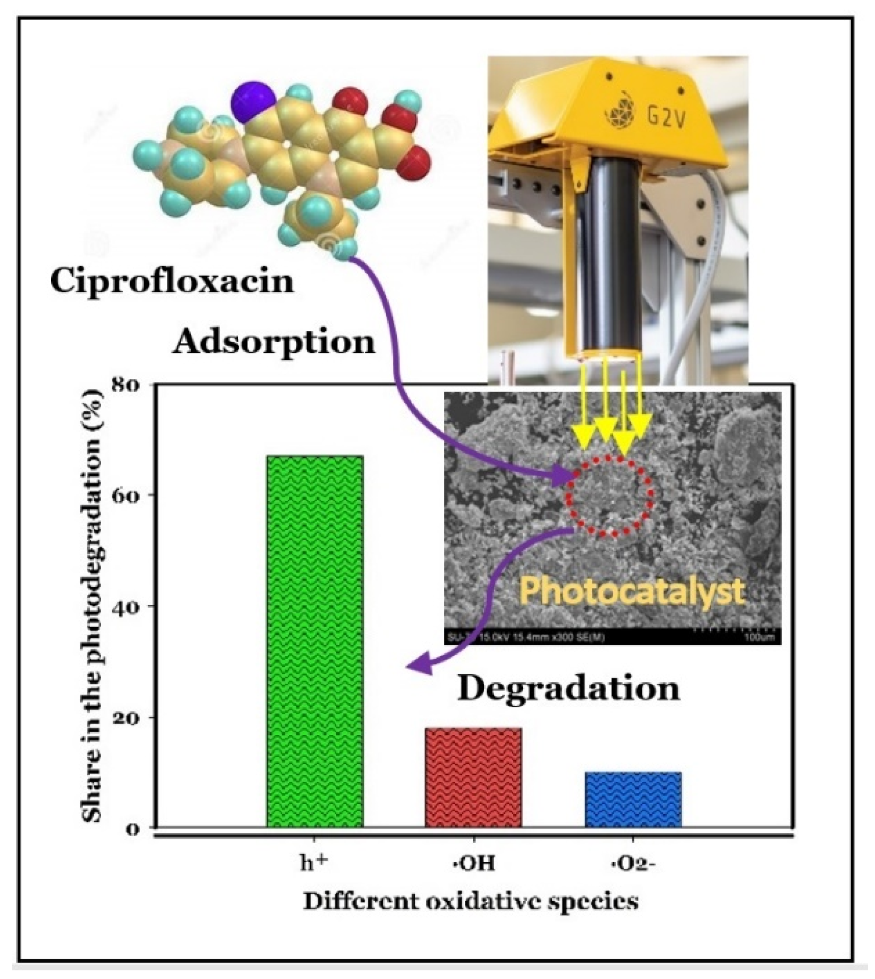 Molecules 27 03050 g008
