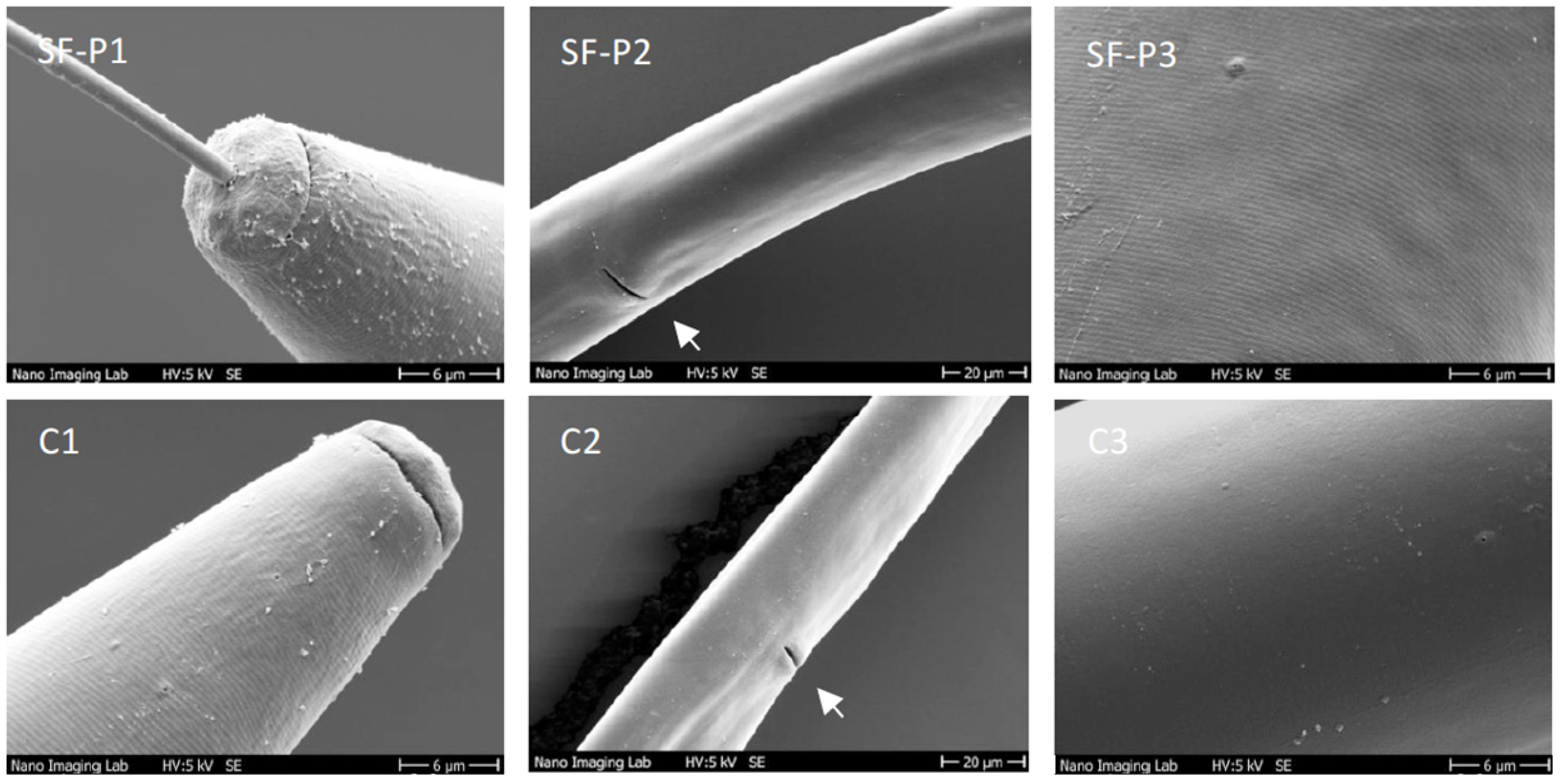 Molecules 27 03052 g004 Molecules 27 03052 g004