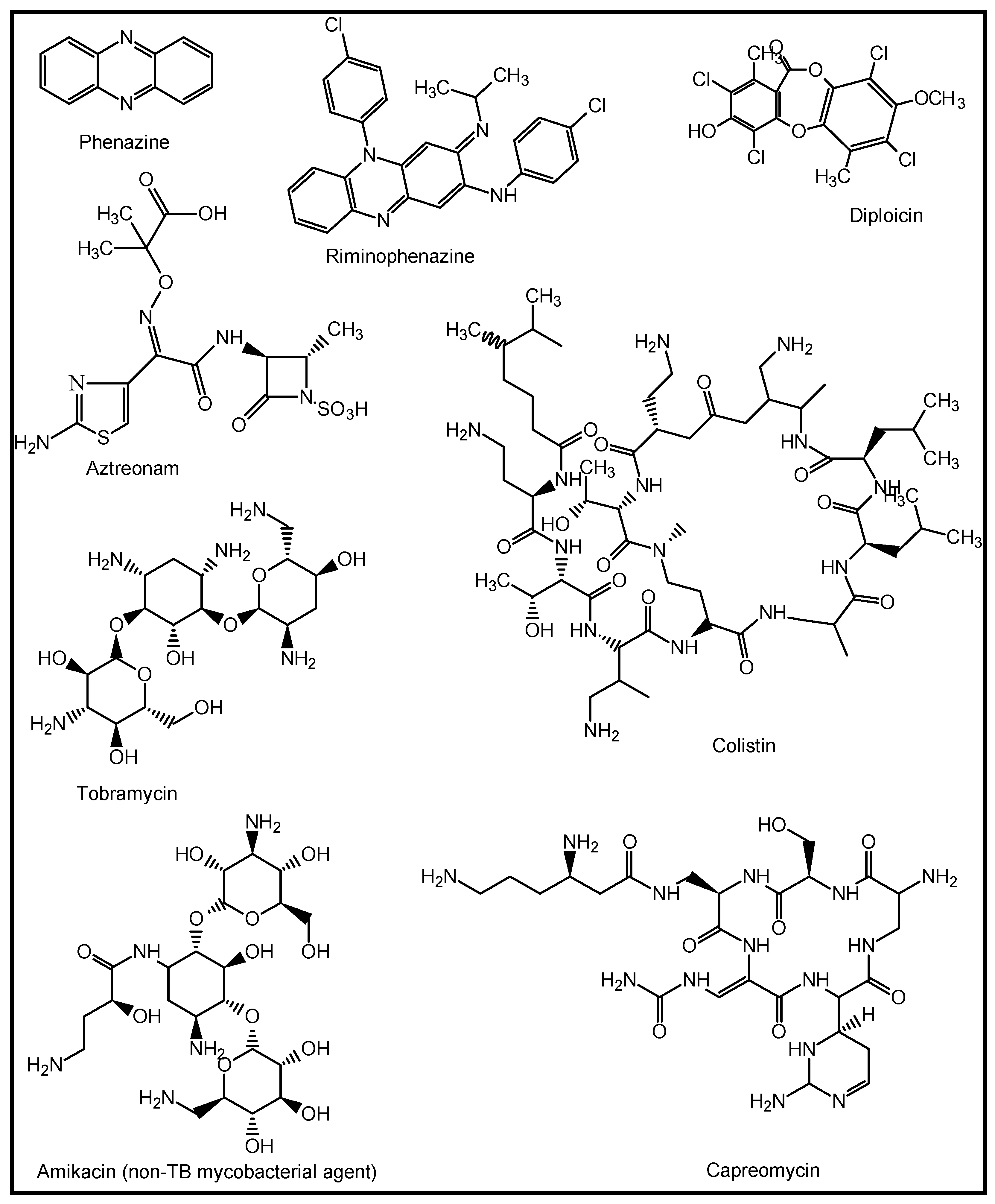 Molecules 27 03054 g006