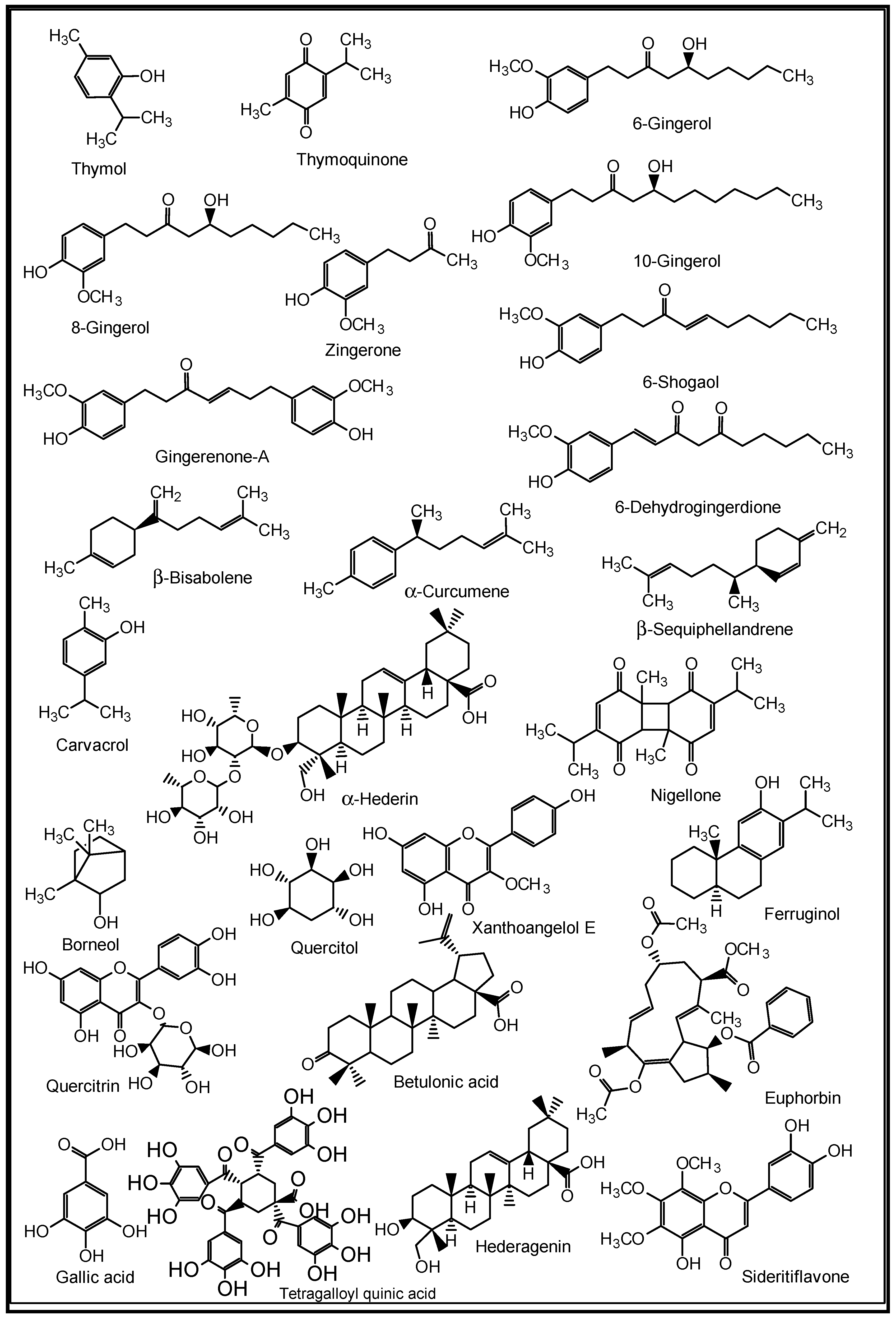 Molecules 27 03054 g007