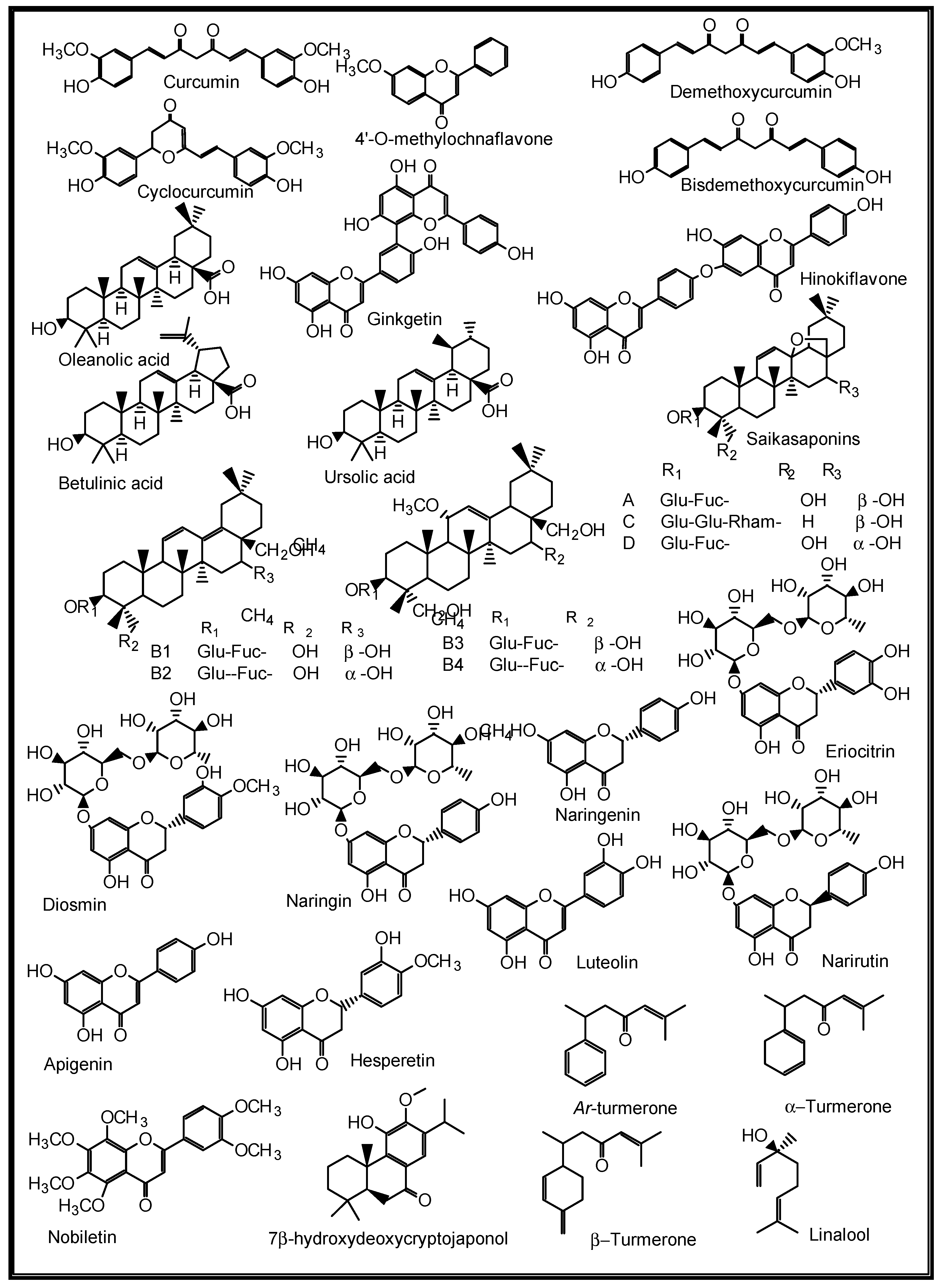 Molecules 27 03054 g010