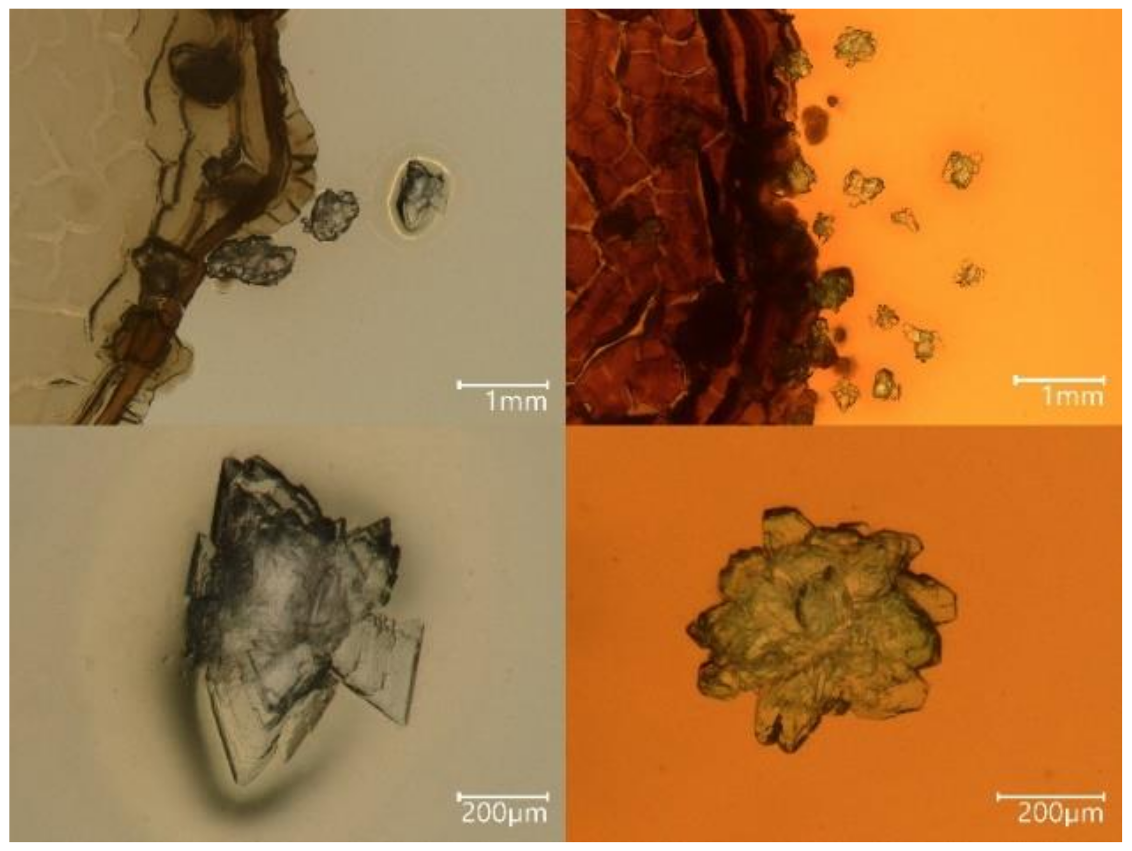 Molecules 27 03061 g001 550