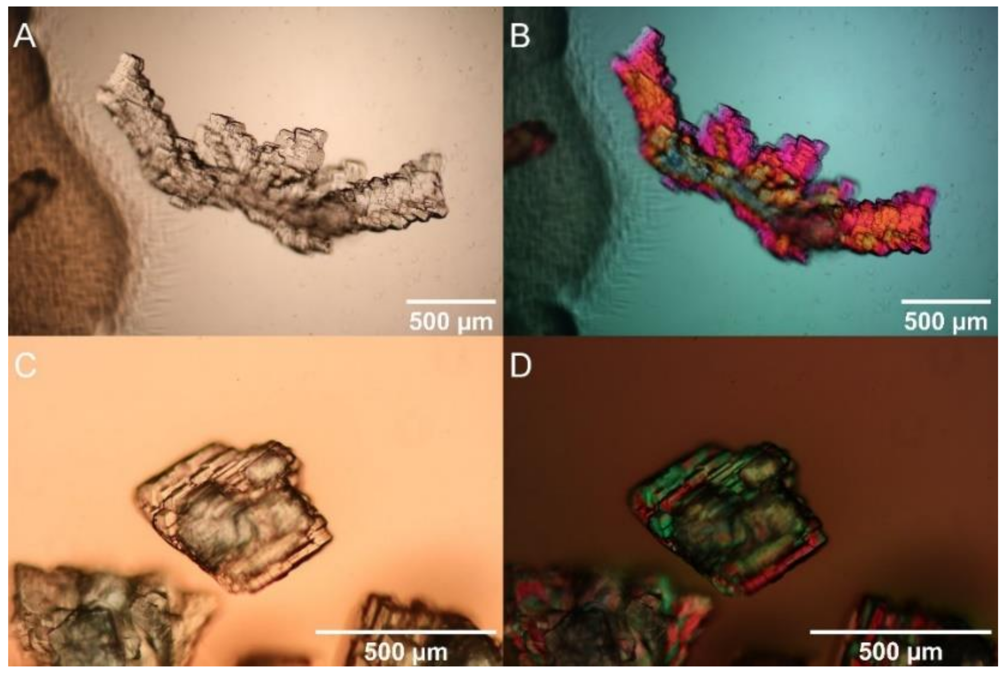 Molecules 27 03061 g002 550