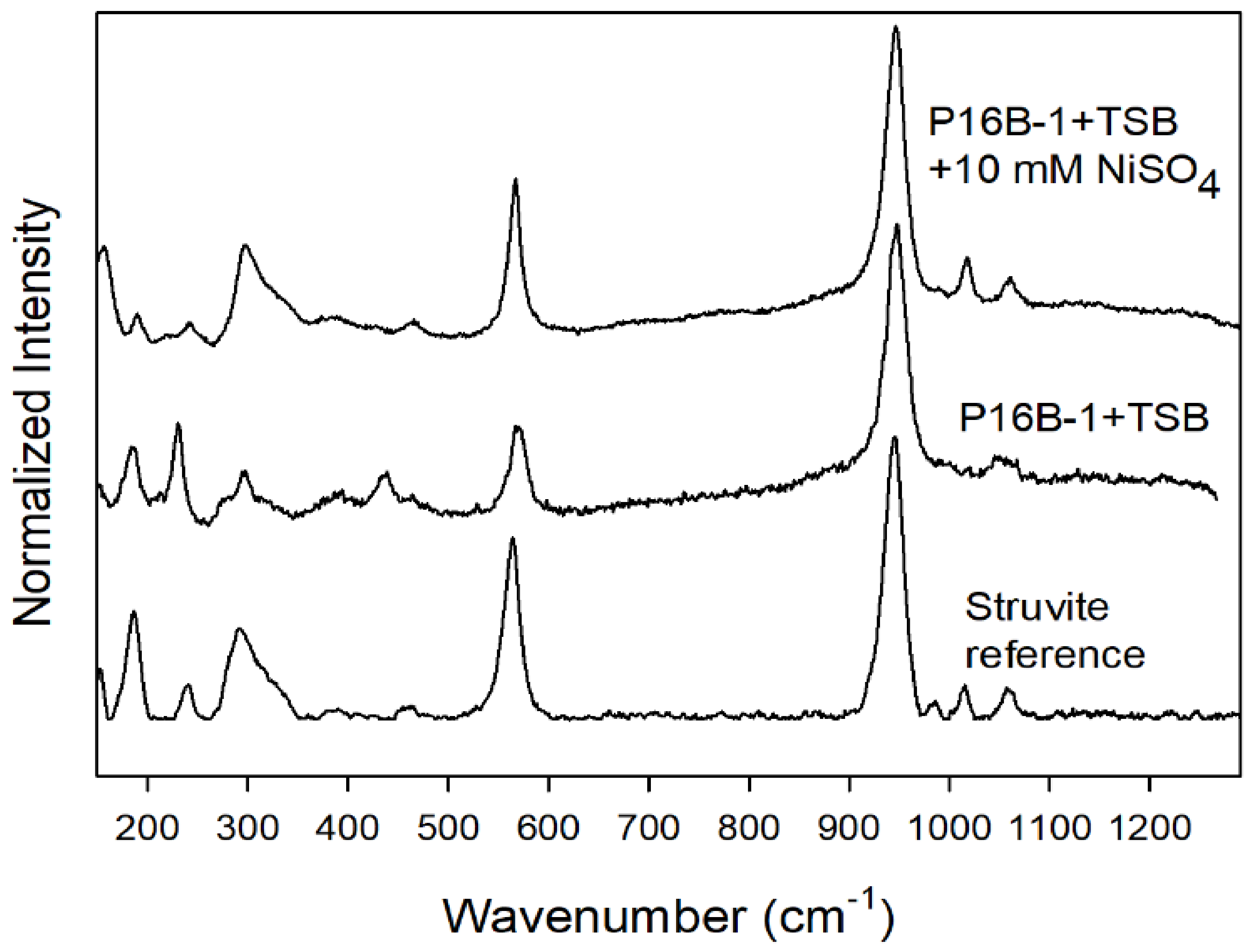 Molecules 27 03061 g003 550