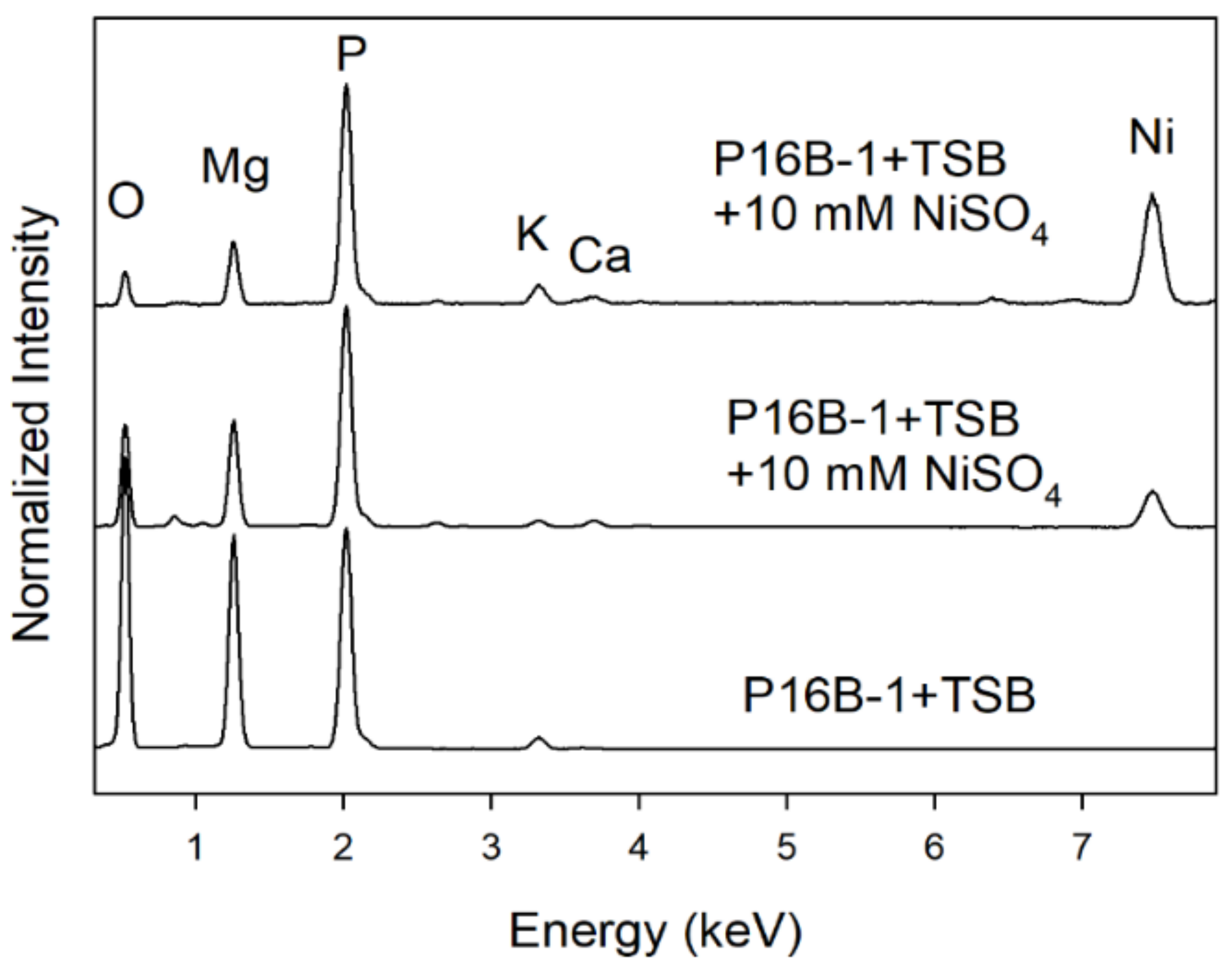 Molecules 27 03061 g004 550