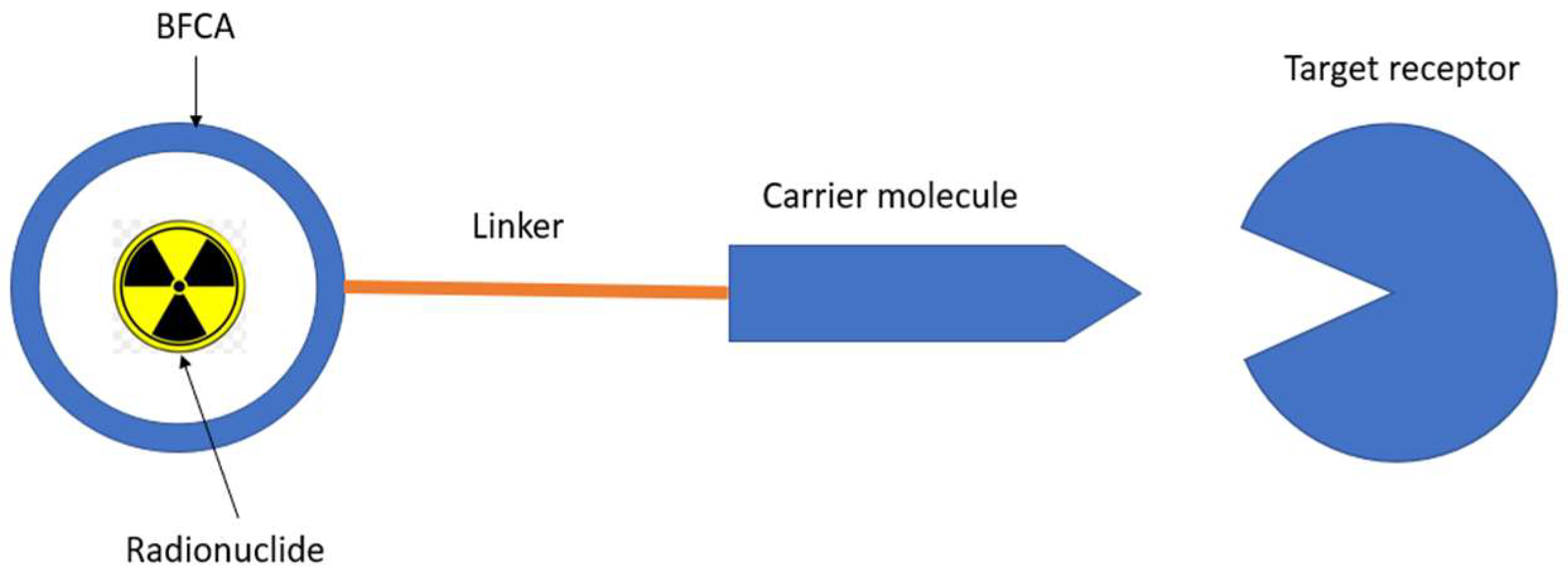 Molecules 27 03062 g001 Molecules 27 03062 g001