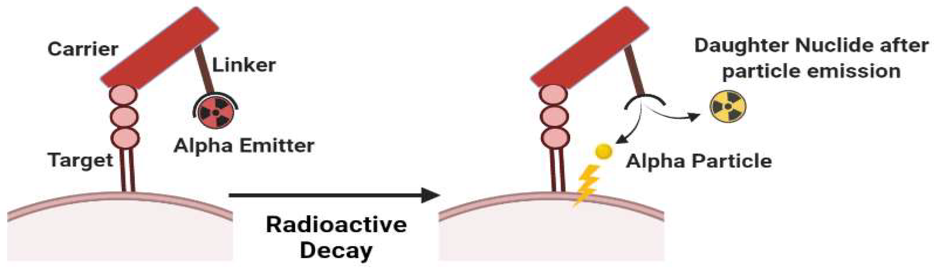 jDad and Daughter nude The Chemical Scaffold of Theranostic Radiopharmaceuticals: Radionuclide,  Bifunctional Chelator, and Pharmacokinetics Modifying Linker